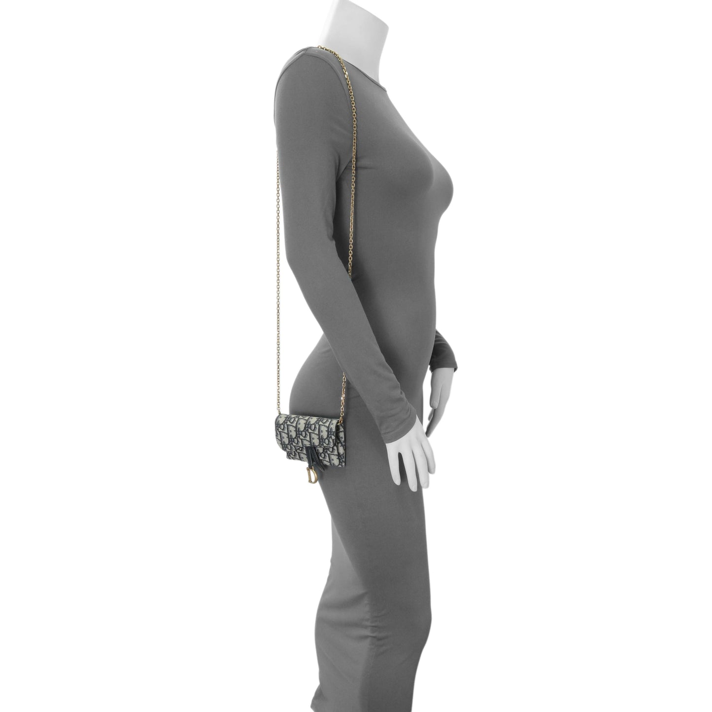 Exclusive Christian Dior Oblique Nano Saddle Chain Pouch — Alternate View 7