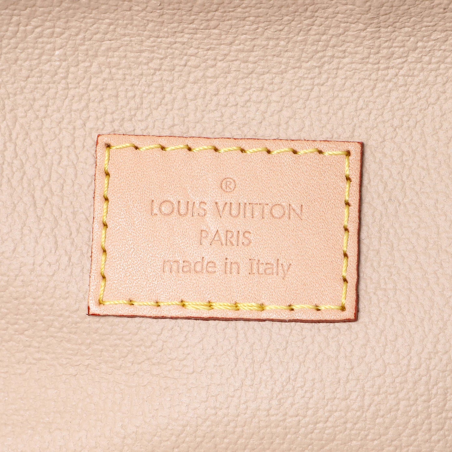 Exclusive Louis Vuitton Monogram Nice Nano — Lifestyle View