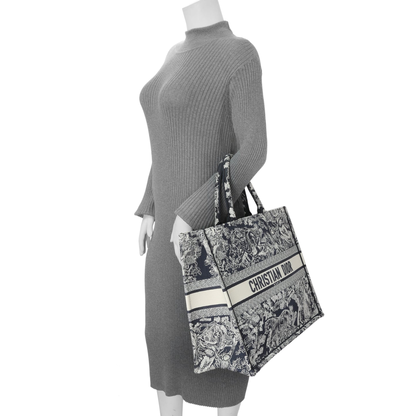 Exclusive Christian Dior Canvas Embroidered Dioriviera Reverse Striped Toile De Jouy Large Book Tote — Alternate View 11