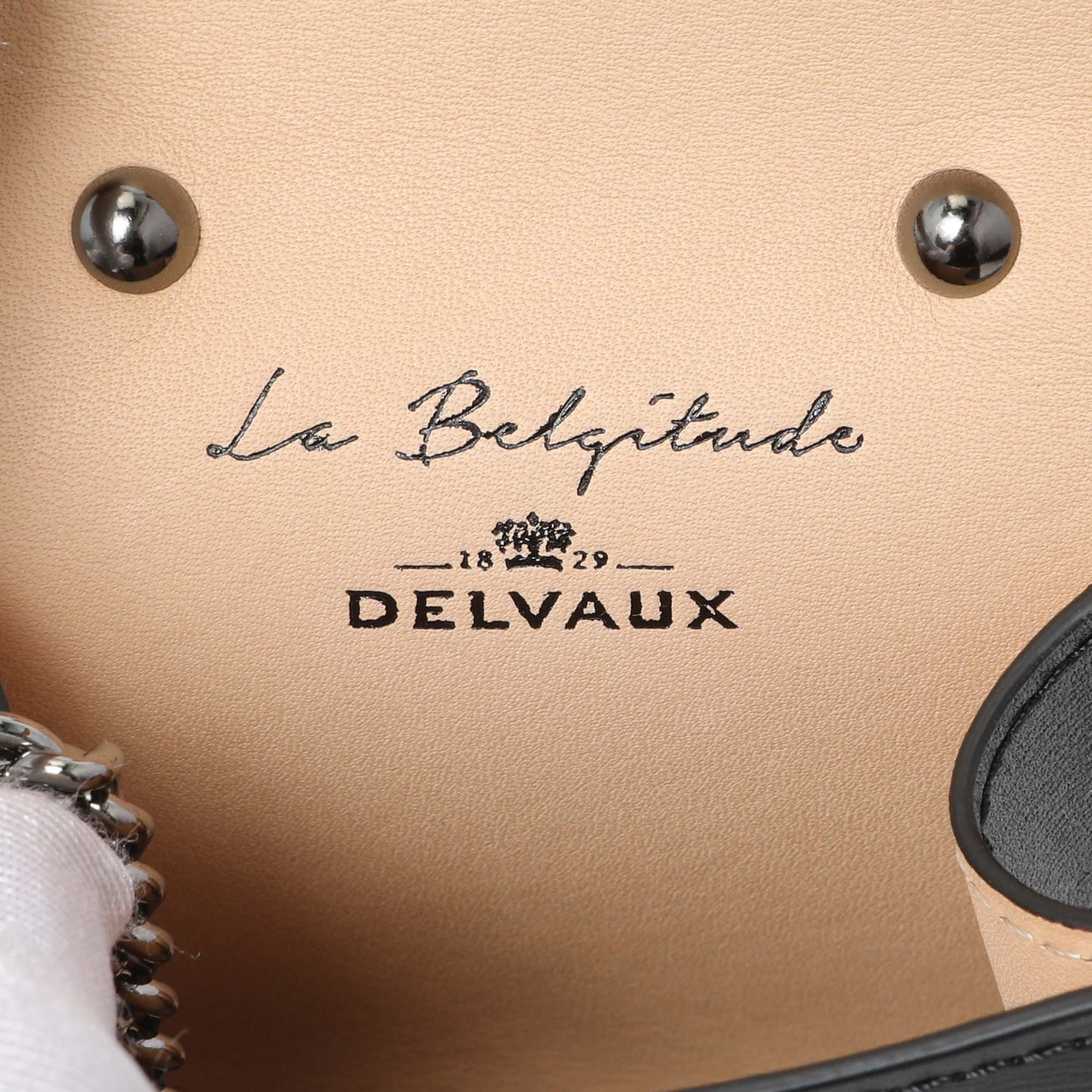Exclusive Delvaux Black Calfskin Brillant Bag Charms — Detail View
