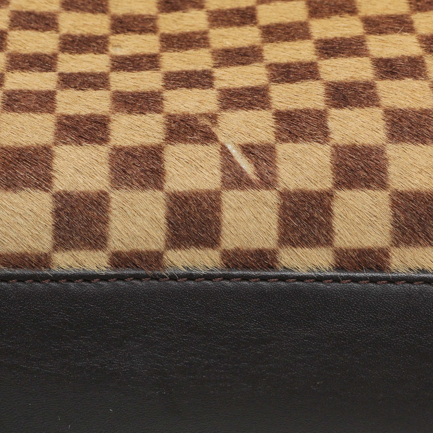 Exclusive Louis Vuitton Damier Calf Hair Sauvage Lionne — Alternate View 12