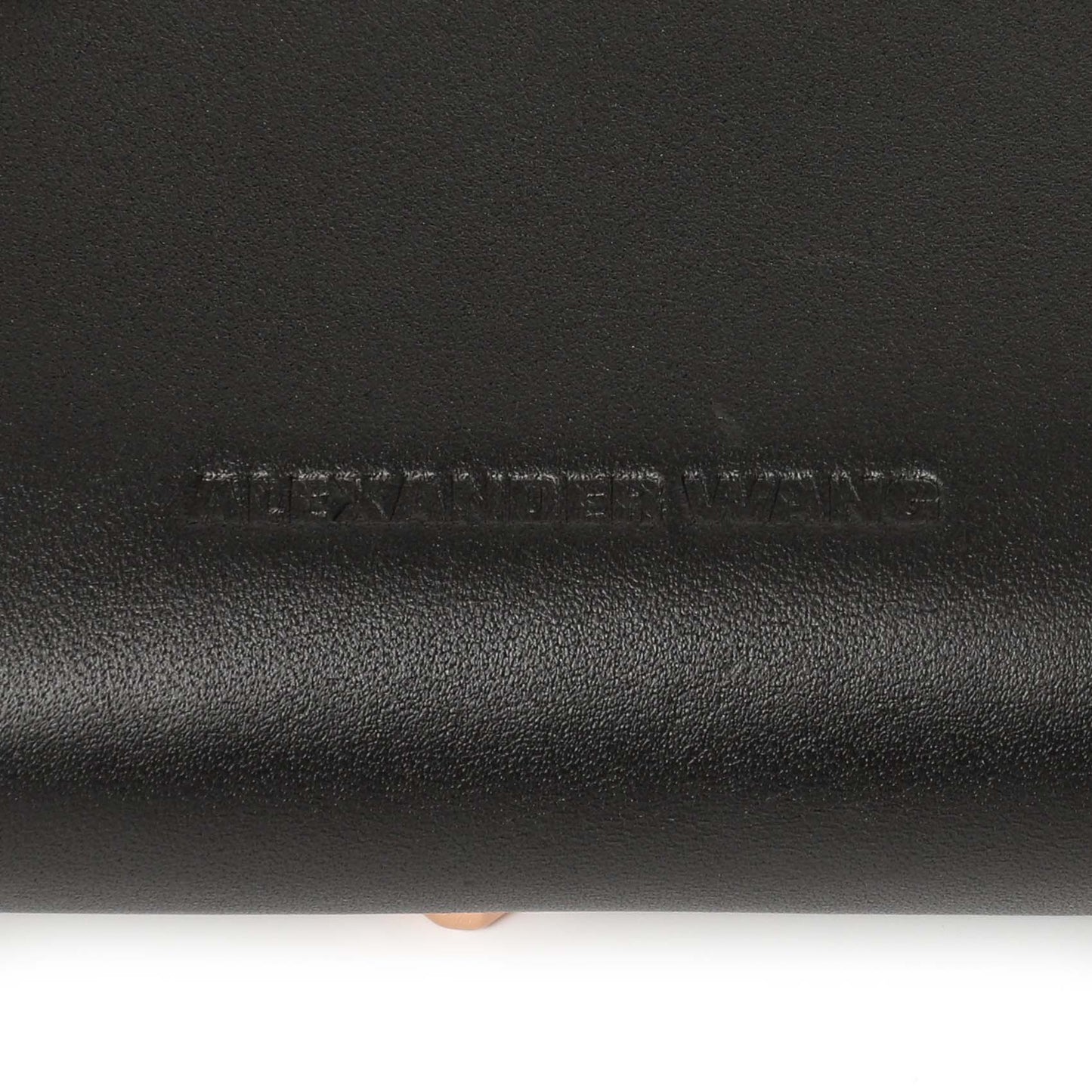 Exclusive Alexander Wang Black Calfskin Prisma Belt Bag — Alternate View 9