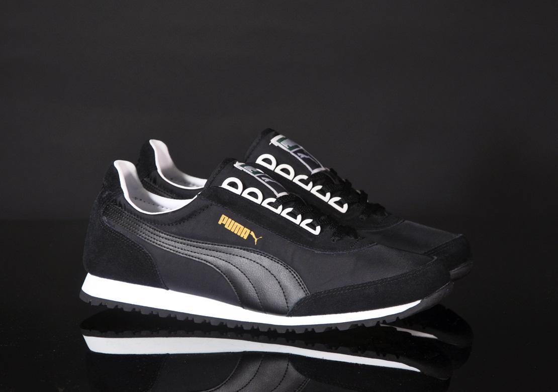 Exclusive Puma ZD C82 — 4 — Front View