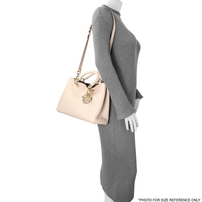 Exclusive Christian Dior Rose Poudre Bullcalf Medium Diorissimo — Alternate View 16