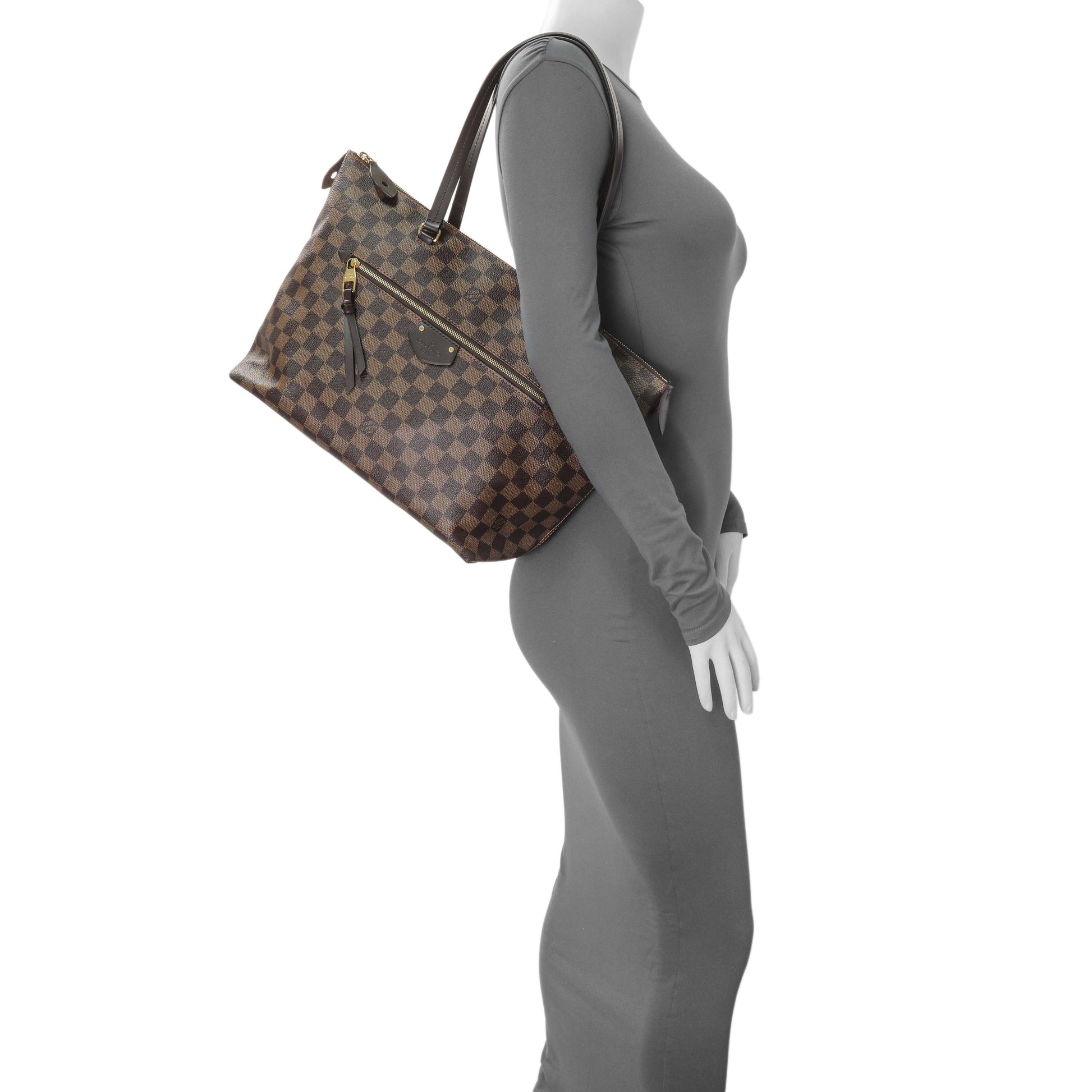 Exclusive Louis Vuitton Damier Ebene Iena MM — Alternate View 11