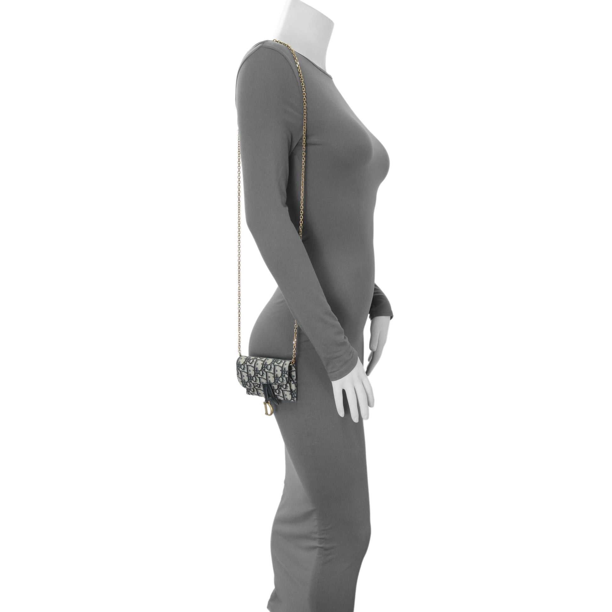 Exclusive Christian Dior Oblique Nano Saddle Chain Pouch — Alternate View 7