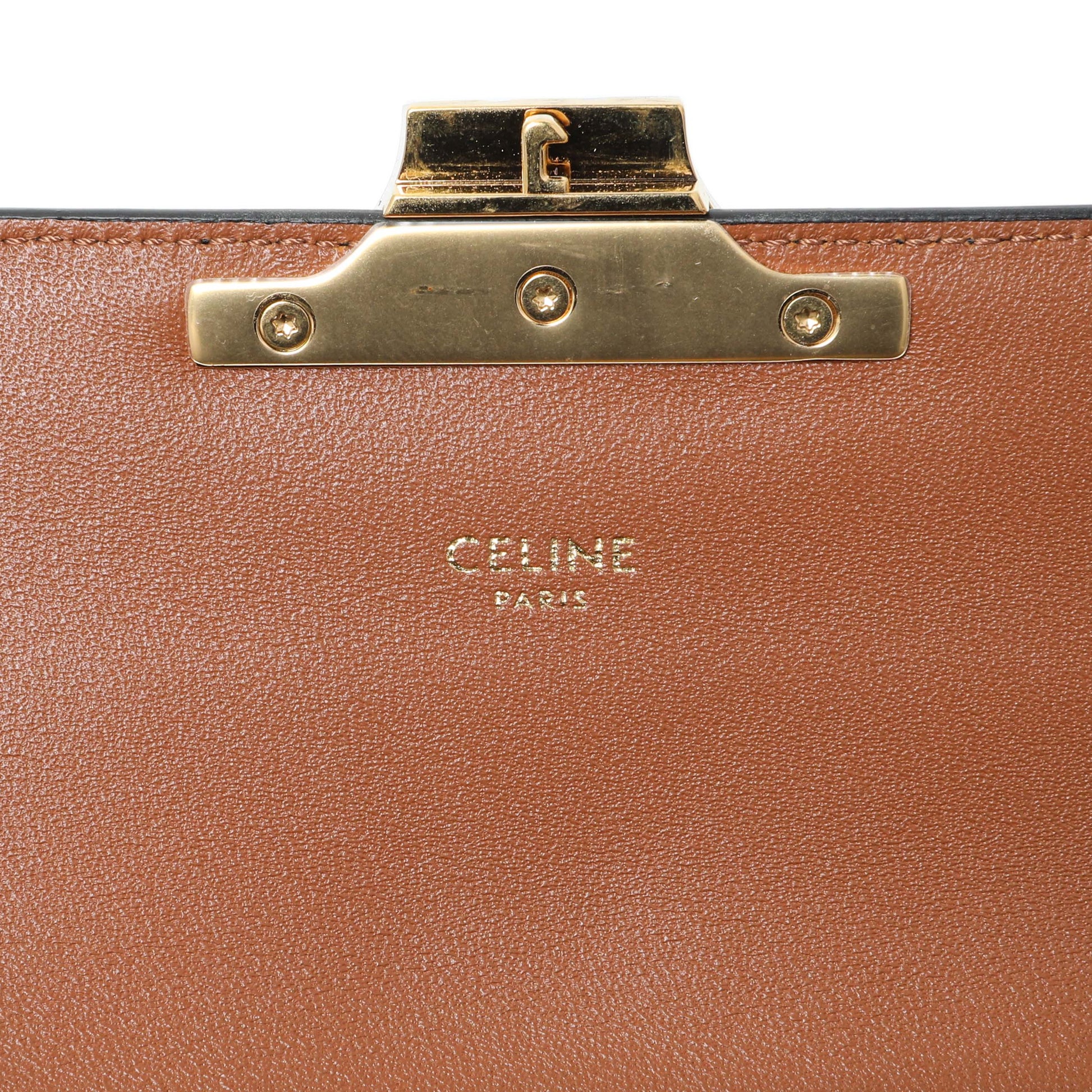 Exclusive Celine Triomphe Canvas Claude Chain Shoulder Bag — Detail View