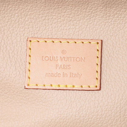 Exclusive Louis Vuitton Monogram Nice Nano — Lifestyle View