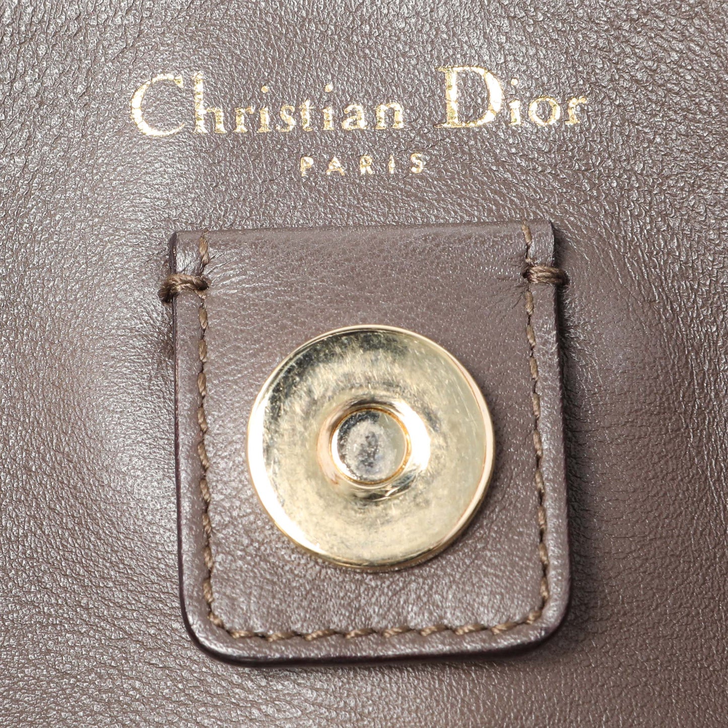 Exclusive Christian Dior Rose Poudre Bullcalf Medium Diorissimo — Alternate View 9