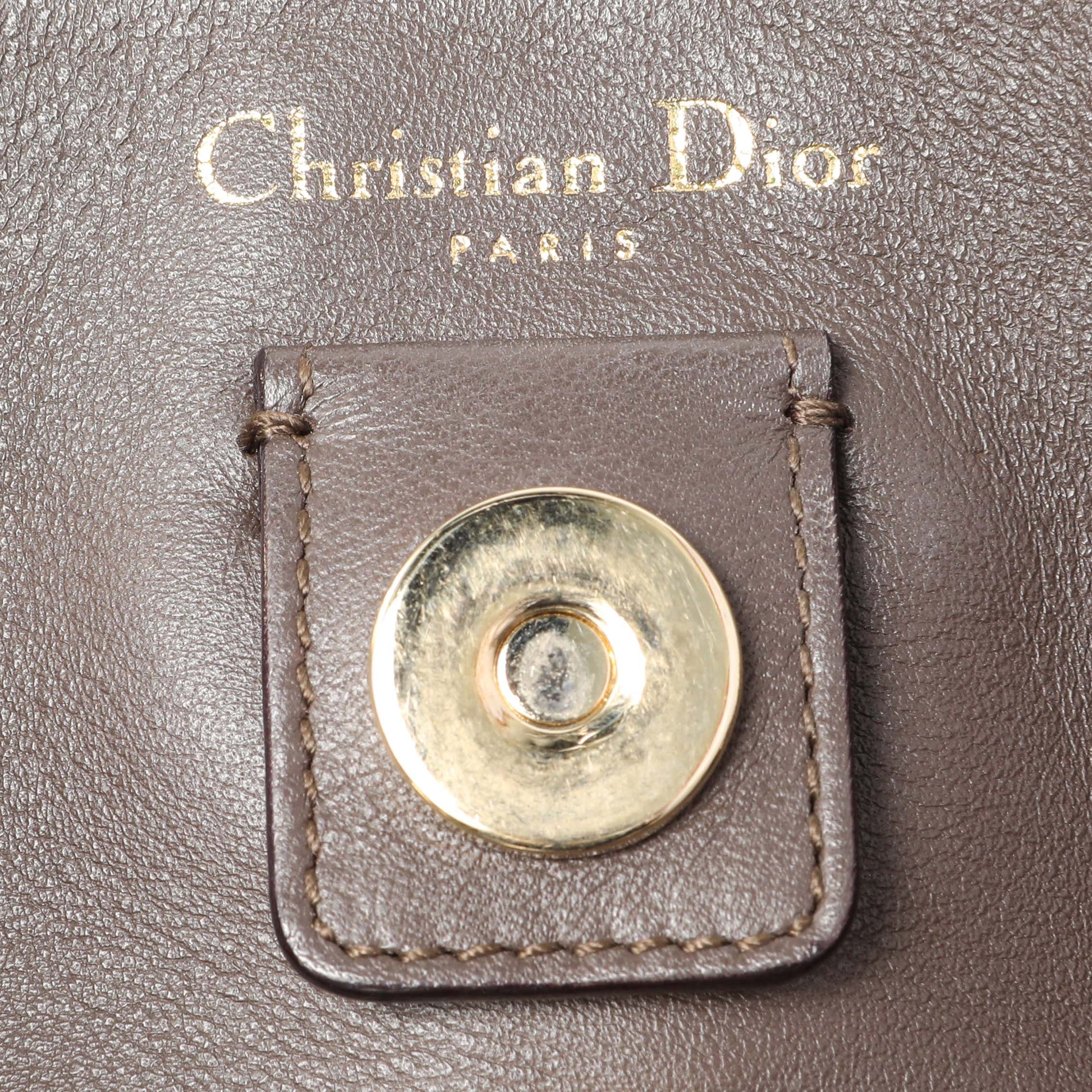 Exclusive Christian Dior Rose Poudre Bullcalf Medium Diorissimo — Alternate View 9