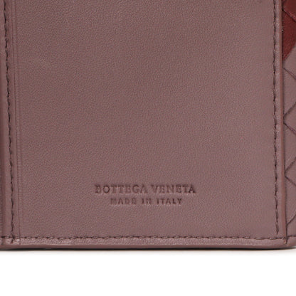 Exclusive Bottega Veneta Tricolor Nappa Intrecciato Continental Wallet — Lifestyle View