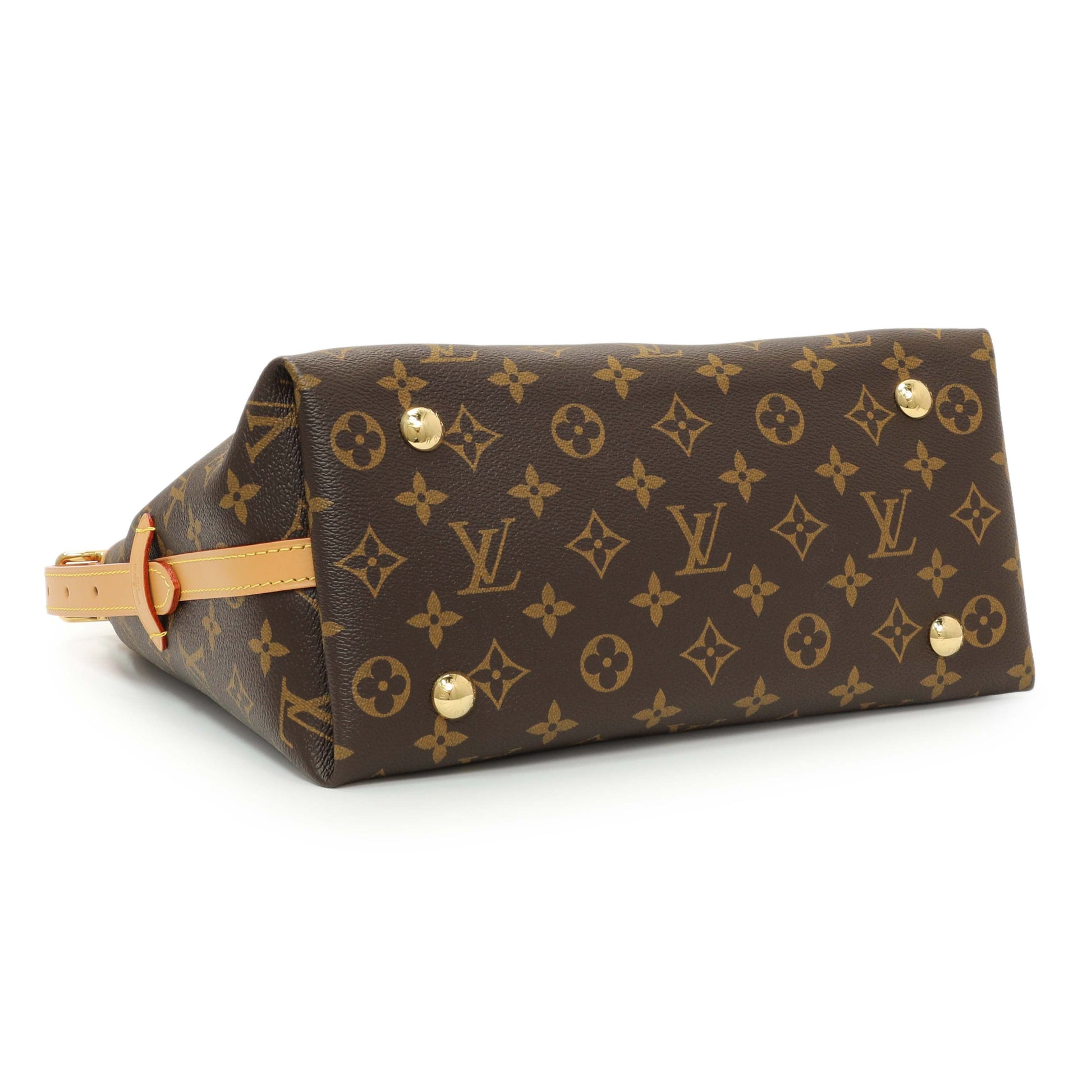 Exclusive Louis Vuttion Monogram CarryAll PM — Back View
