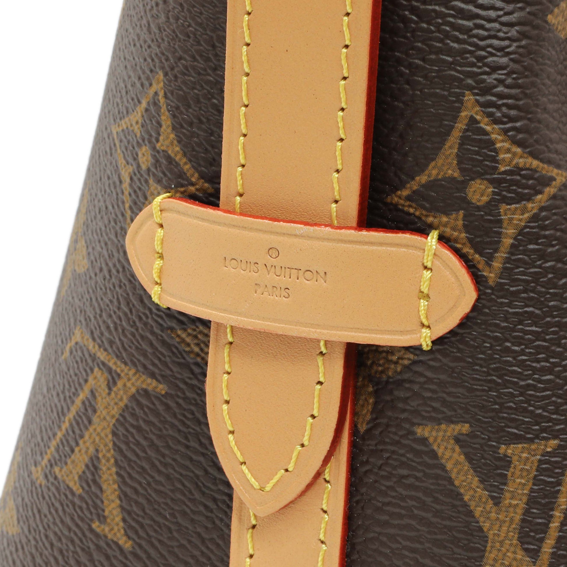 Exclusive Louis Vuttion Monogram CarryAll PM — Detail View