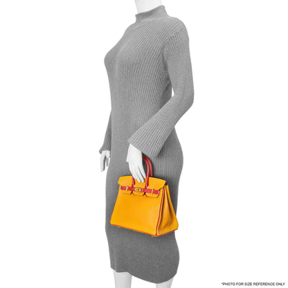 Exclusive Hermes Jaune D'or Rouge Chevre Birkin 25 — Alternate View 8