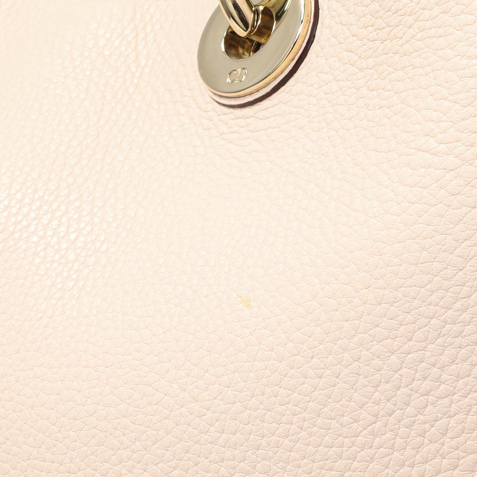 Exclusive Christian Dior Rose Poudre Bullcalf Medium Diorissimo — Alternate View 13