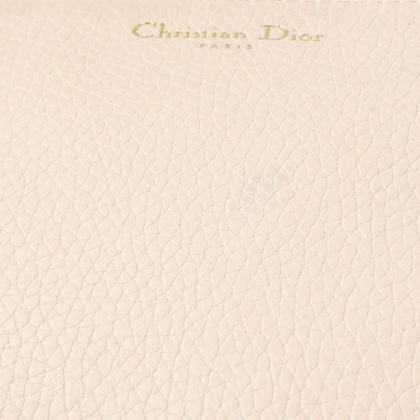 Exclusive Christian Dior Rose Poudre Bullcalf Medium Diorissimo — Alternate View 14