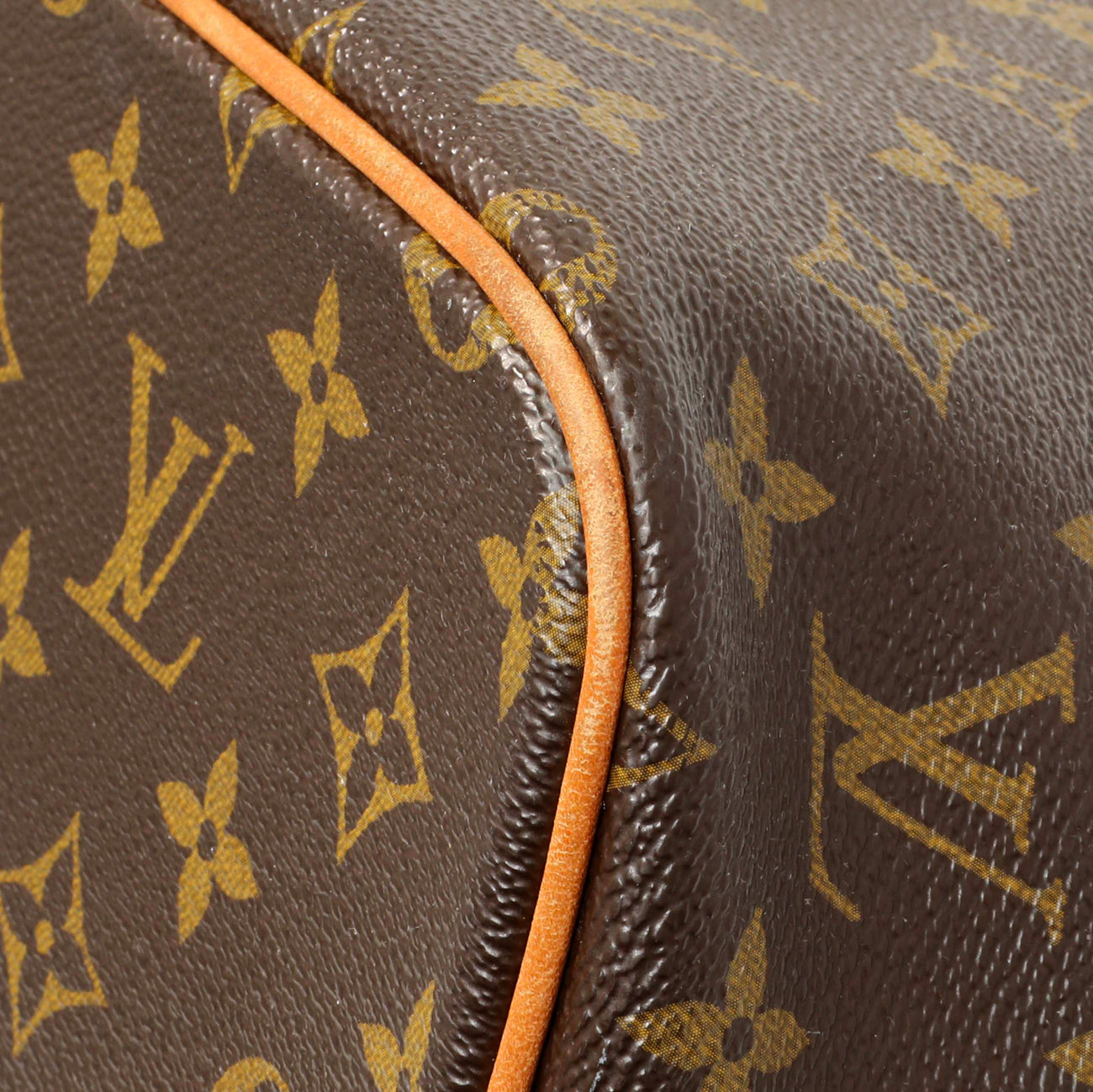 Exclusive Louis Vuitton Monogram Palermo PM — Detail View