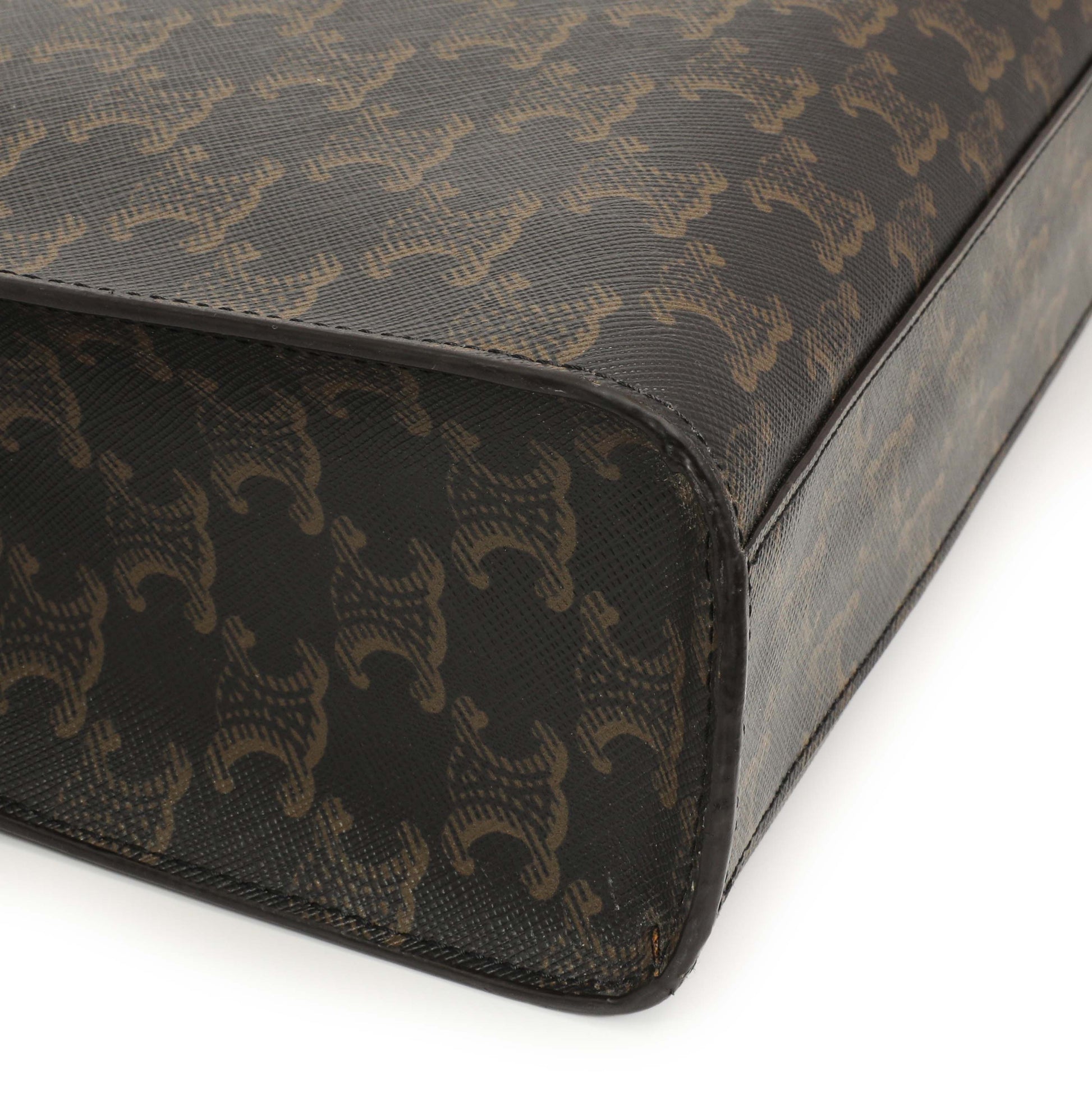 Exclusive Celine Triomphe Canvas Small Vertical Cabas — Lifestyle View