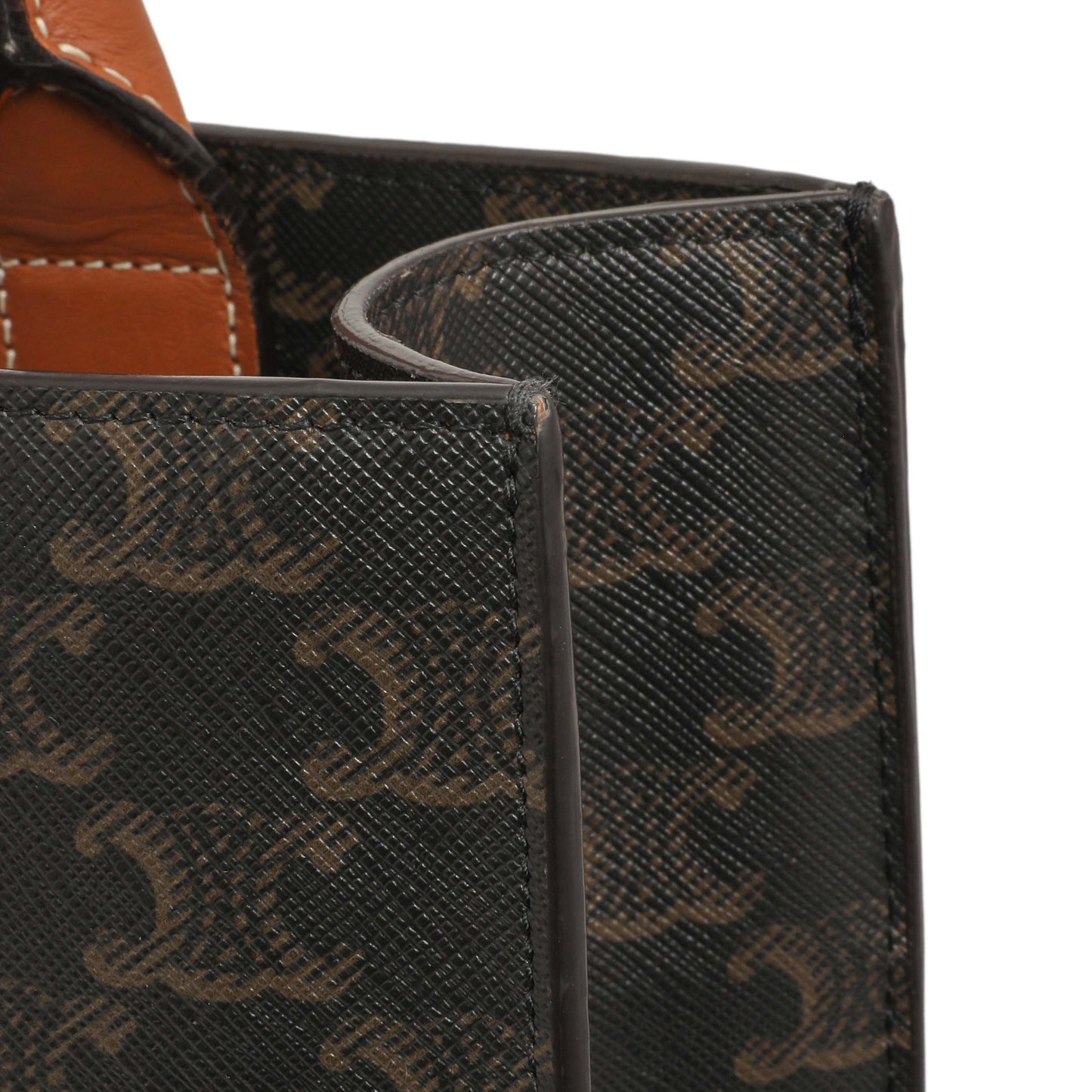 Exclusive Celine Triomphe Canvas Small Vertical Cabas — Alternate View 11