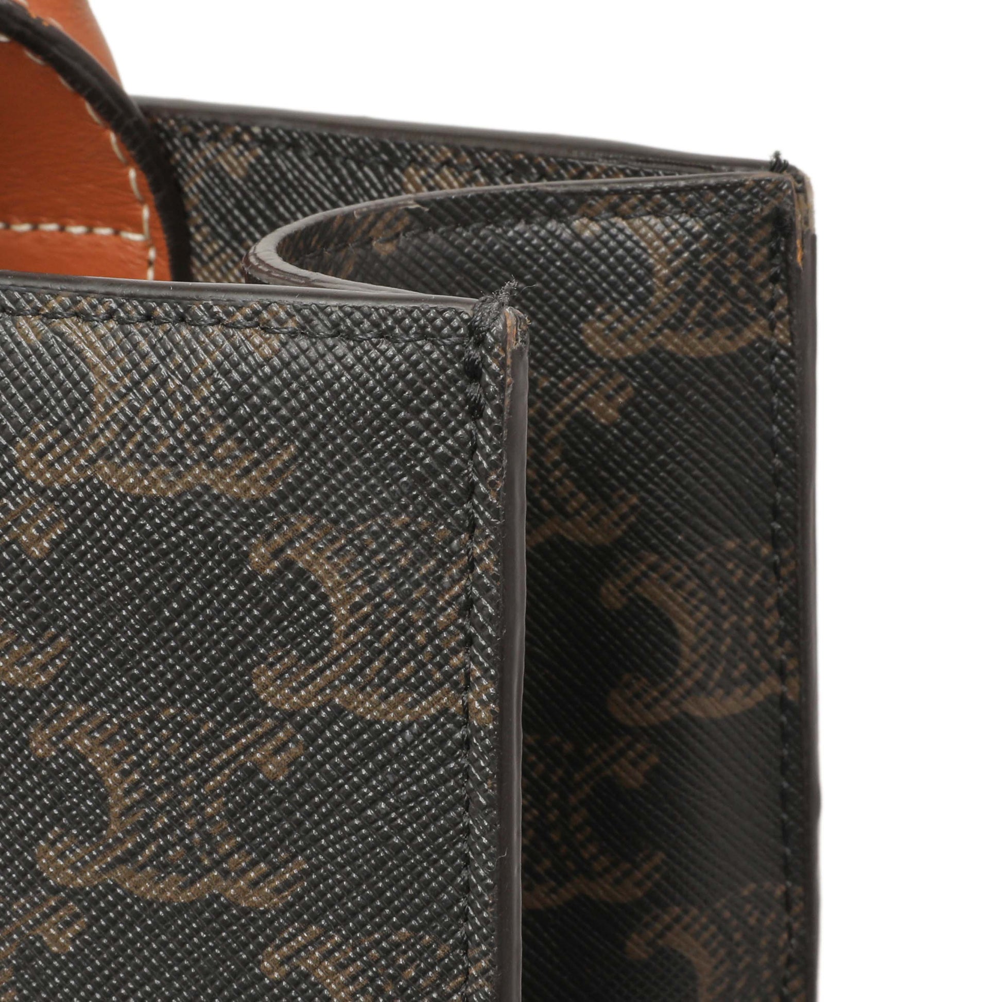 Exclusive Celine Triomphe Canvas Small Vertical Cabas — Alternate View 10