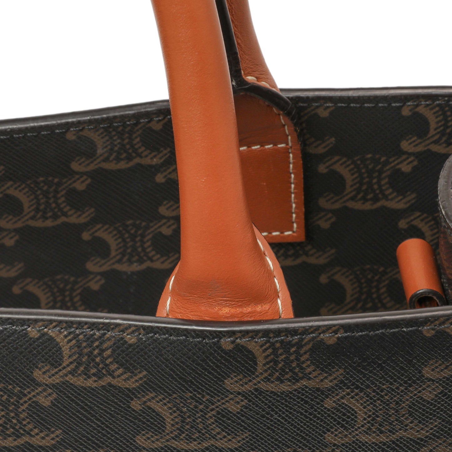 Exclusive Celine Triomphe Canvas Small Vertical Cabas — Alternate View 14