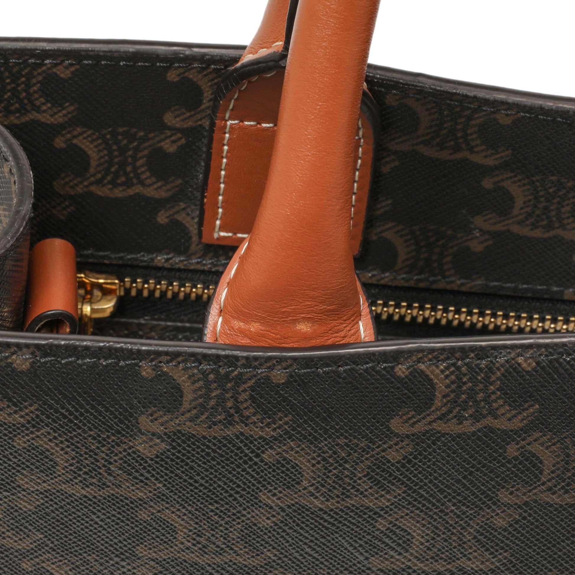 Exclusive Celine Triomphe Canvas Small Vertical Cabas — Alternate View 15