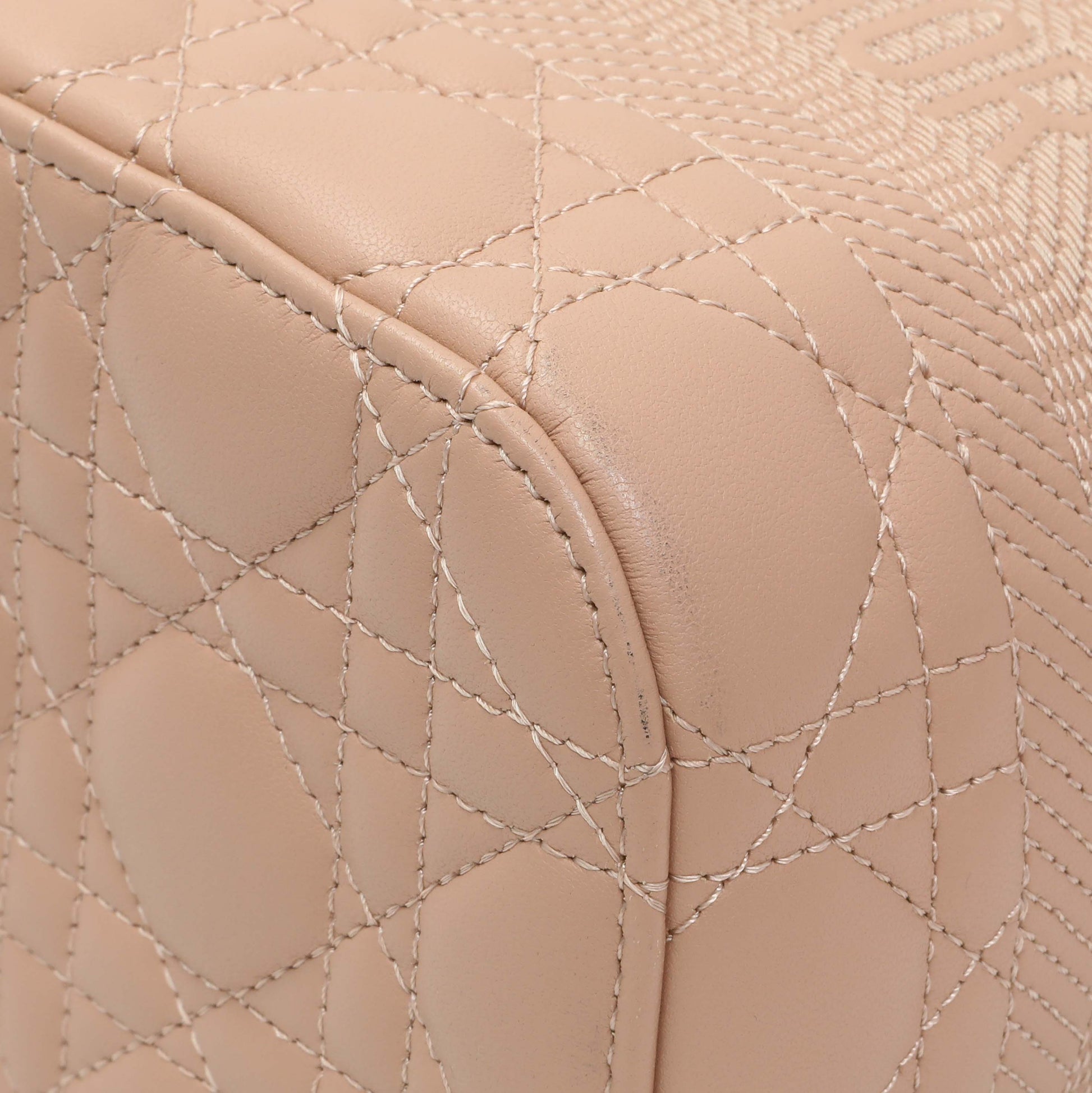 Exclusive Christian Dior Pink Lambskin Cannage Small Diortravel Vanity Case Cloud — Detail View