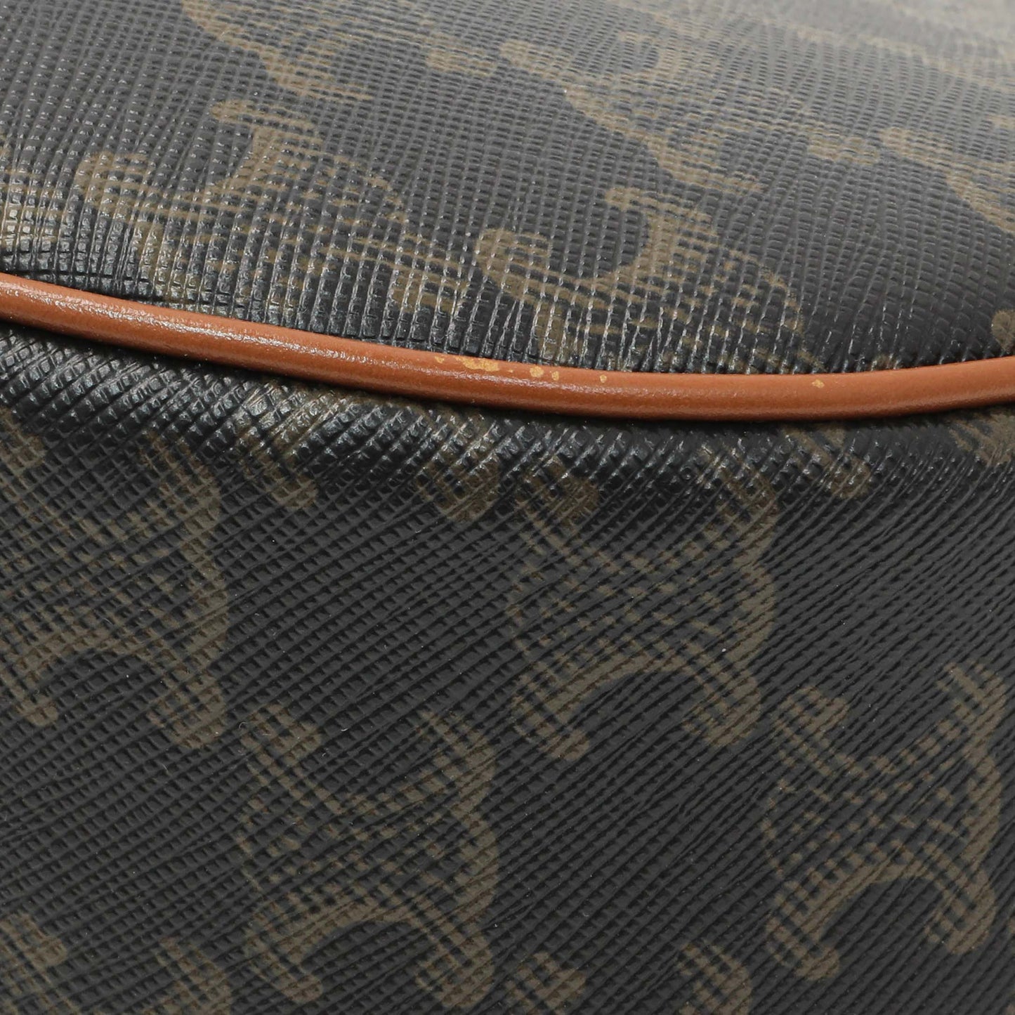 Exclusive Celine Triomphe Canvas Calfskin Ava Shoulder Bag — Alternate View 8