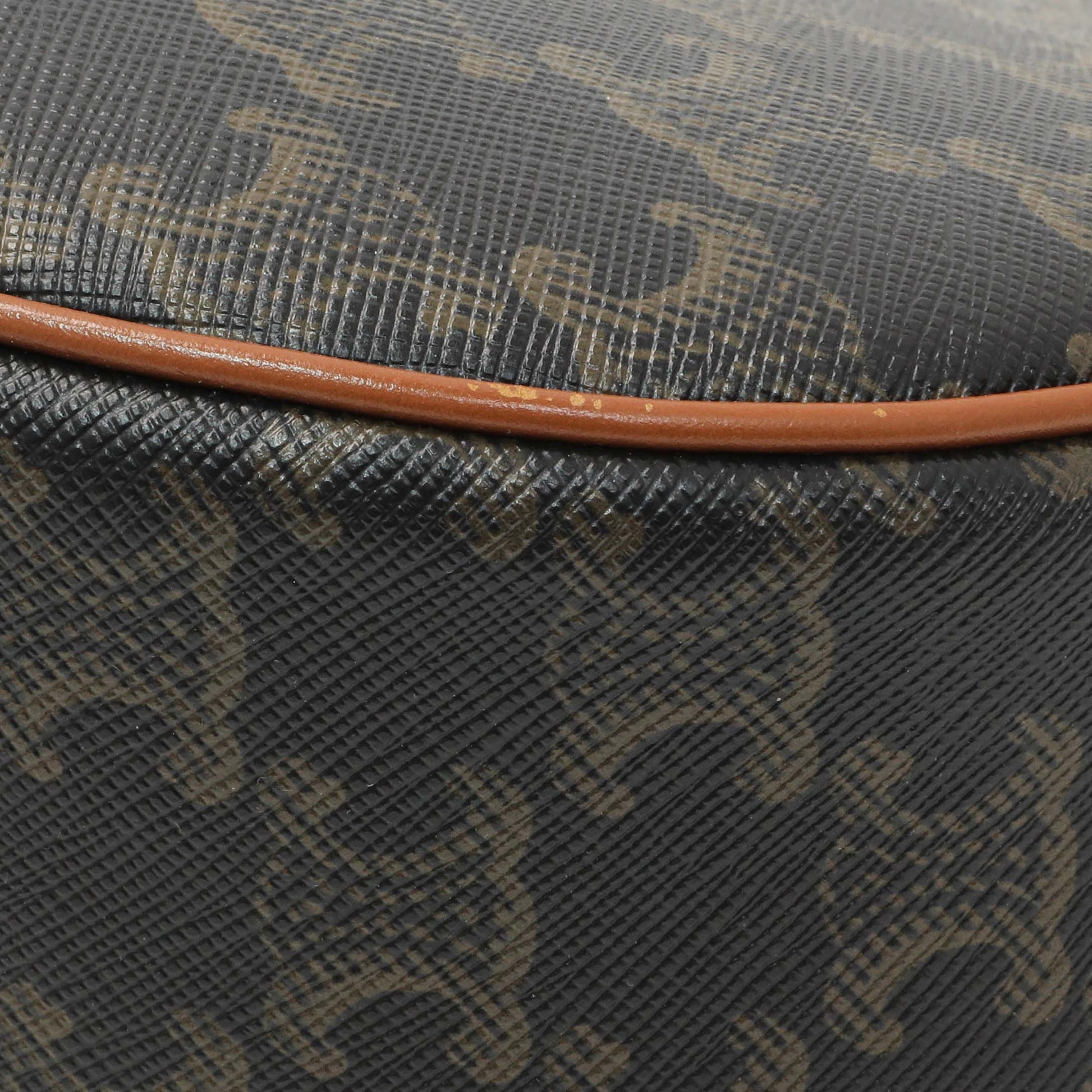 Exclusive Celine Triomphe Canvas Calfskin Ava Shoulder Bag — Alternate View 8