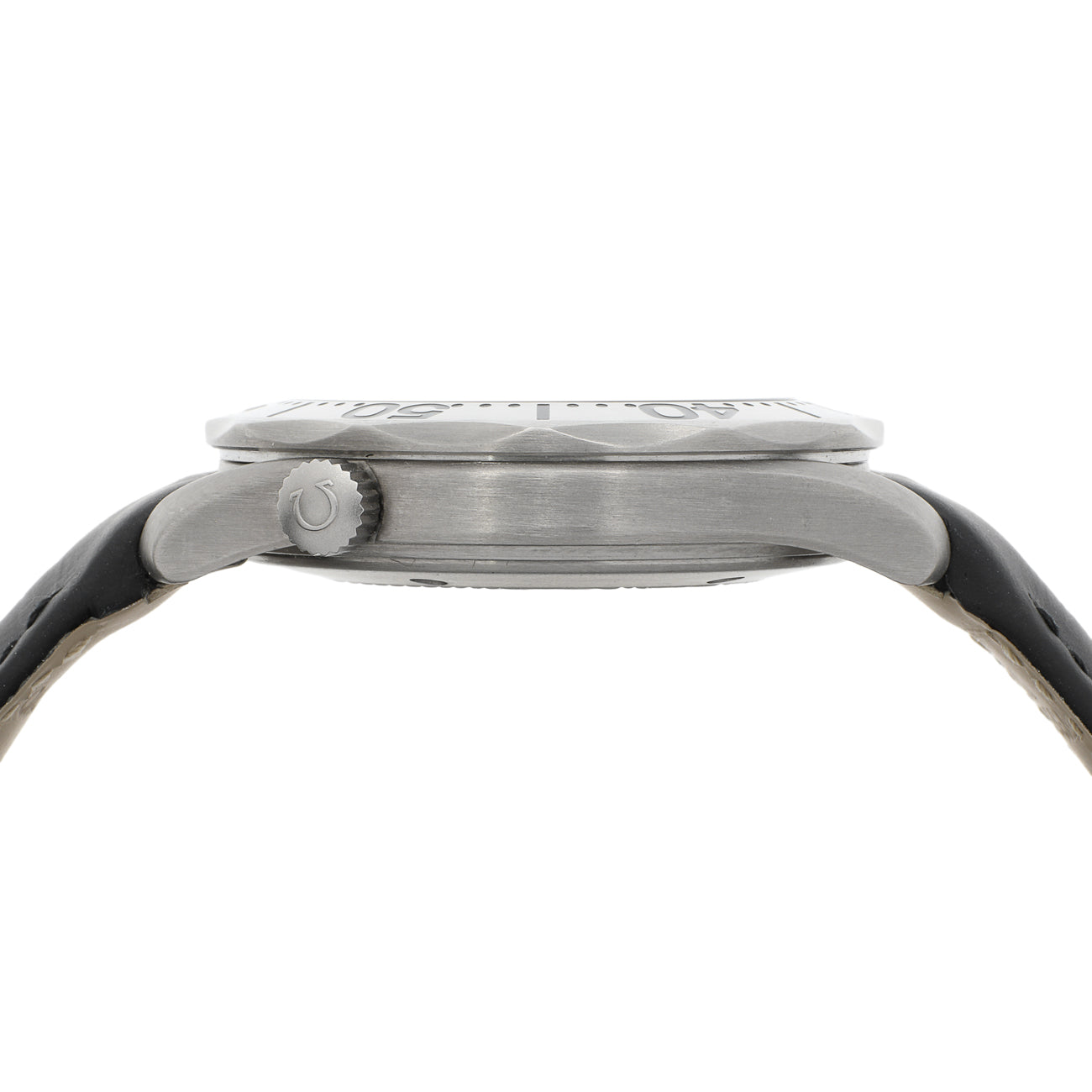 Exclusive Omega Titanium Seamaster 2991.50.91 — Back View