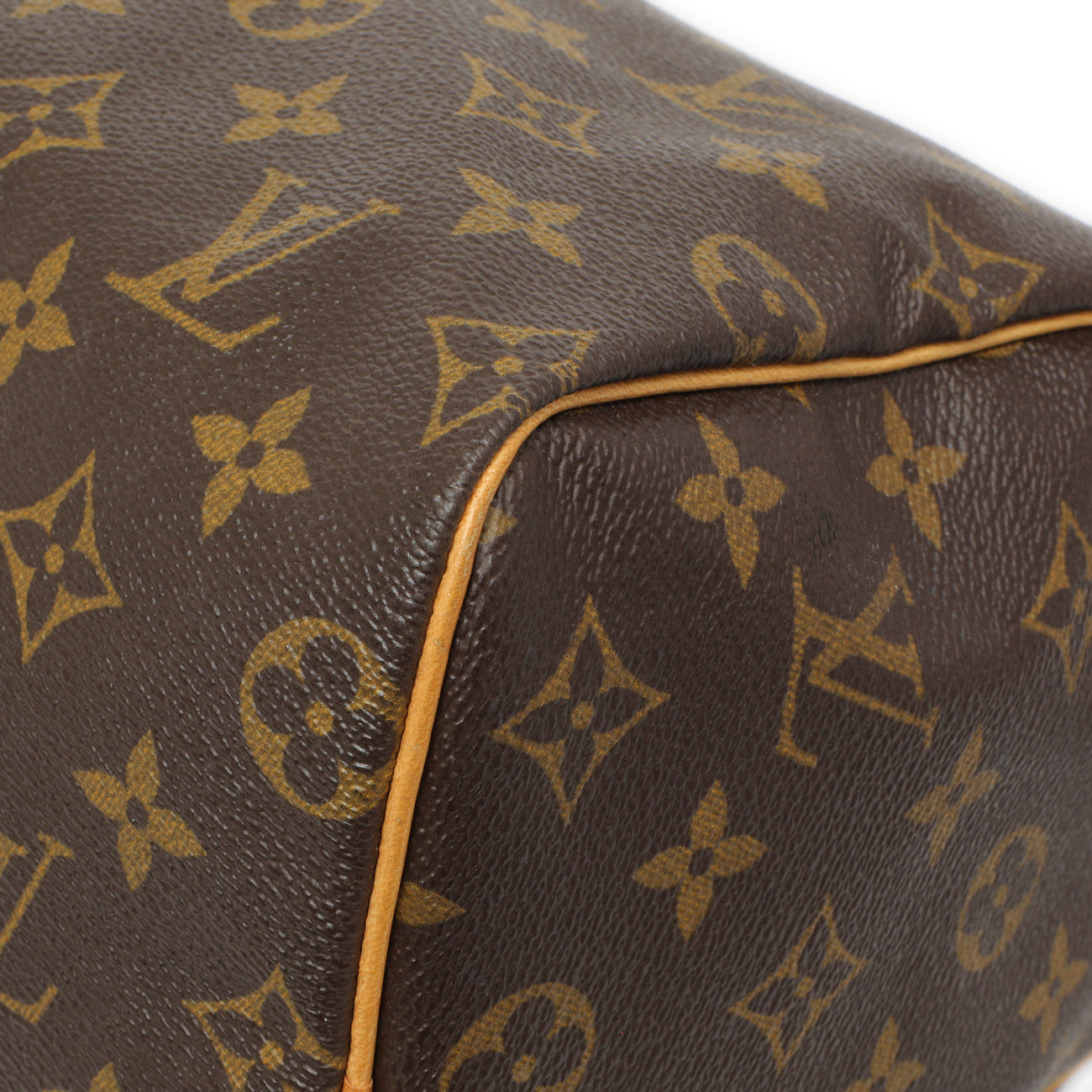 Exclusive Louis Vuitton Monogram Speedy 25 — Detail View