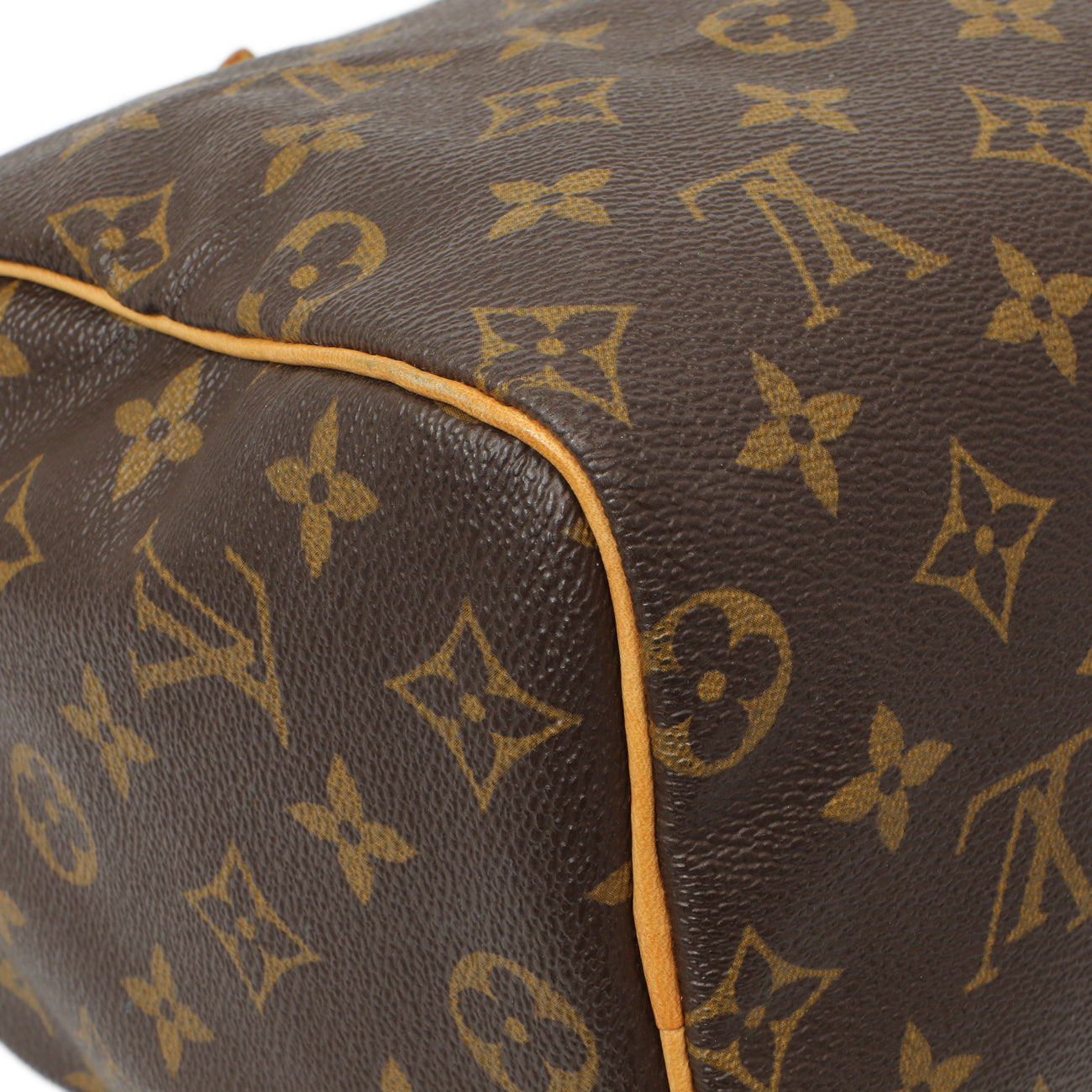 Exclusive Louis Vuitton Monogram Speedy 25 — Lifestyle View