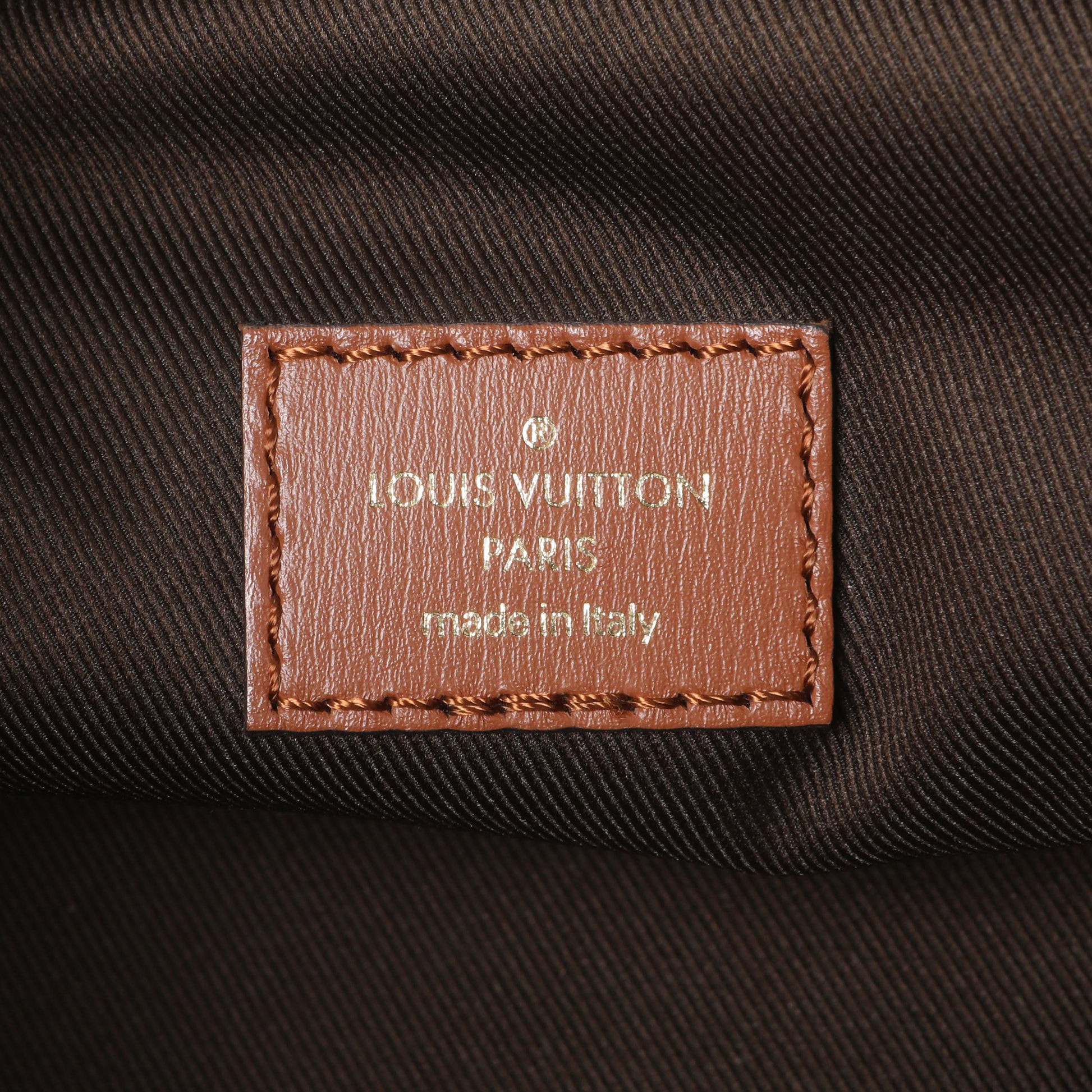 Exclusive Louis Vuitton Reverse Monogram Loop Hobo — Detail View