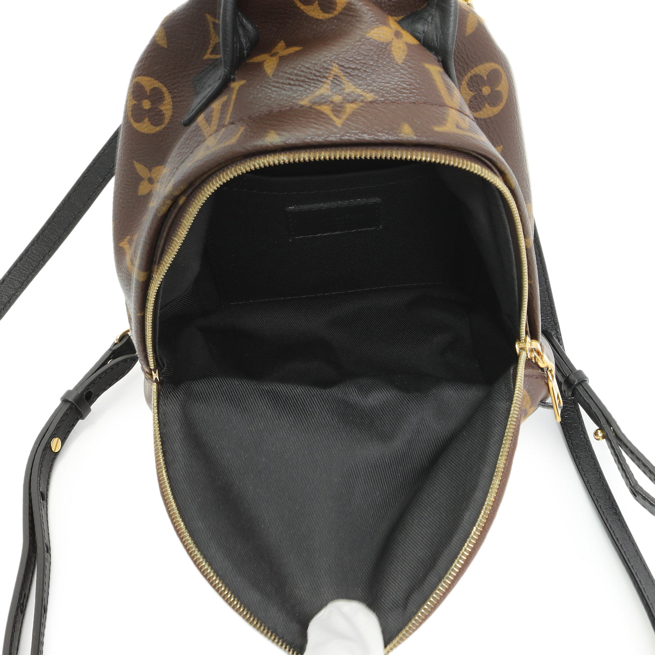 Exclusive Louis Vuitton Monogram Palm Springs Backpack Mini — Top View