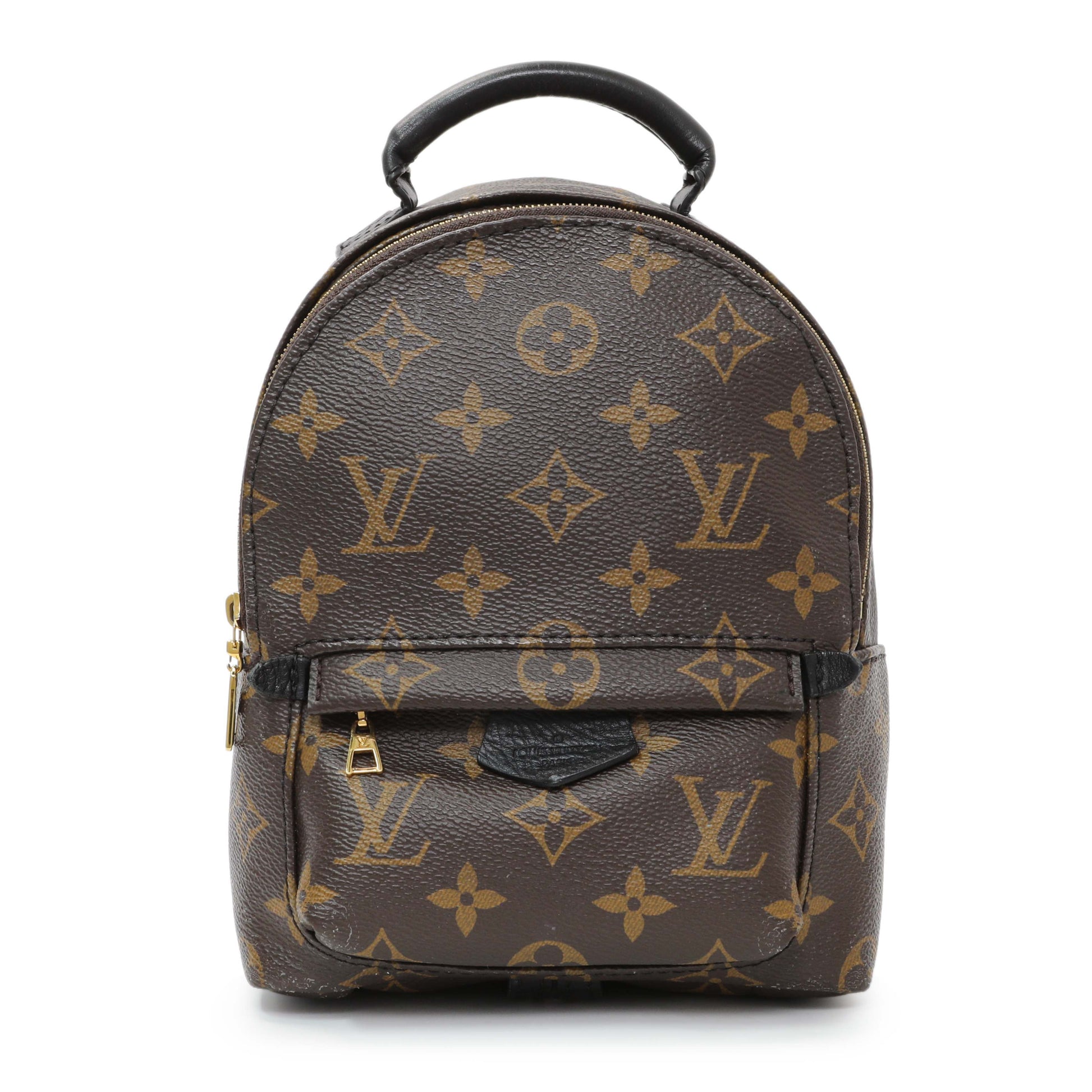 Exclusive Louis Vuitton Monogram Palm Springs Mini — Front View