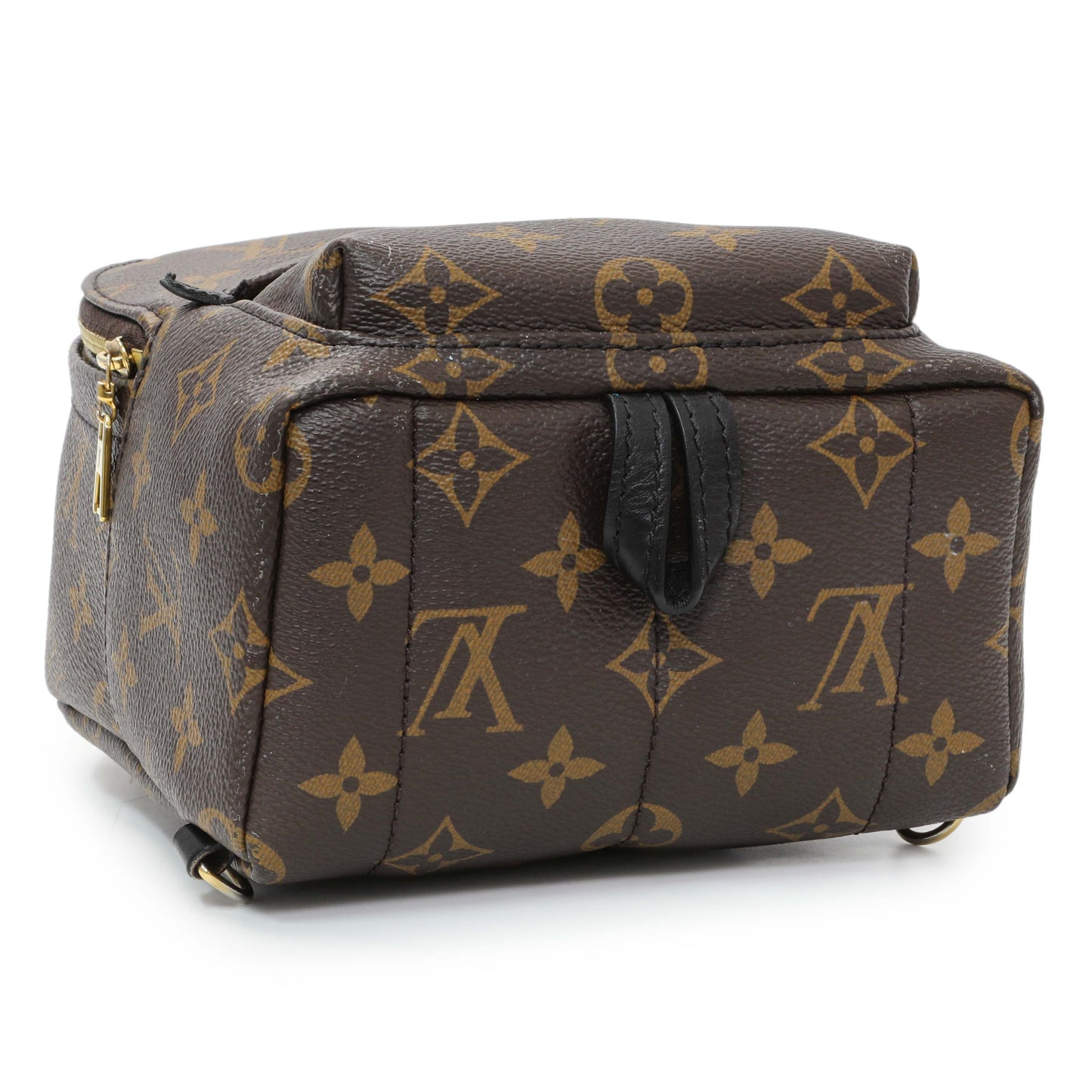 Exclusive Louis Vuitton Monogram Palm Springs Mini — Back View