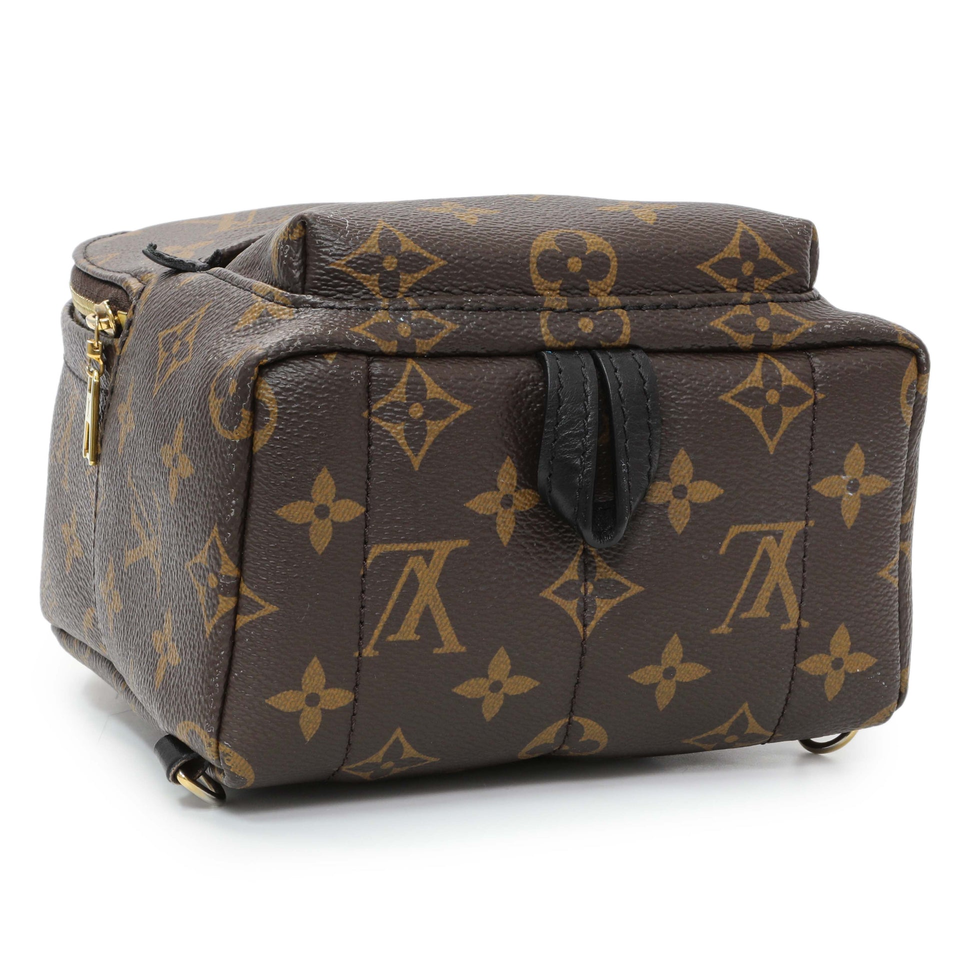 Exclusive Louis Vuitton Monogram Palm Springs Mini — Back View