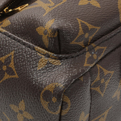 Exclusive Louis Vuitton Monogram Palm Springs Mini — Top View