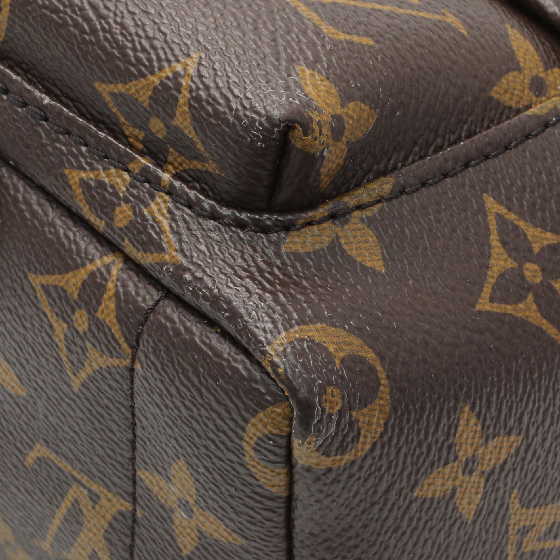 Exclusive Louis Vuitton Monogram Palm Springs Mini — Detail View