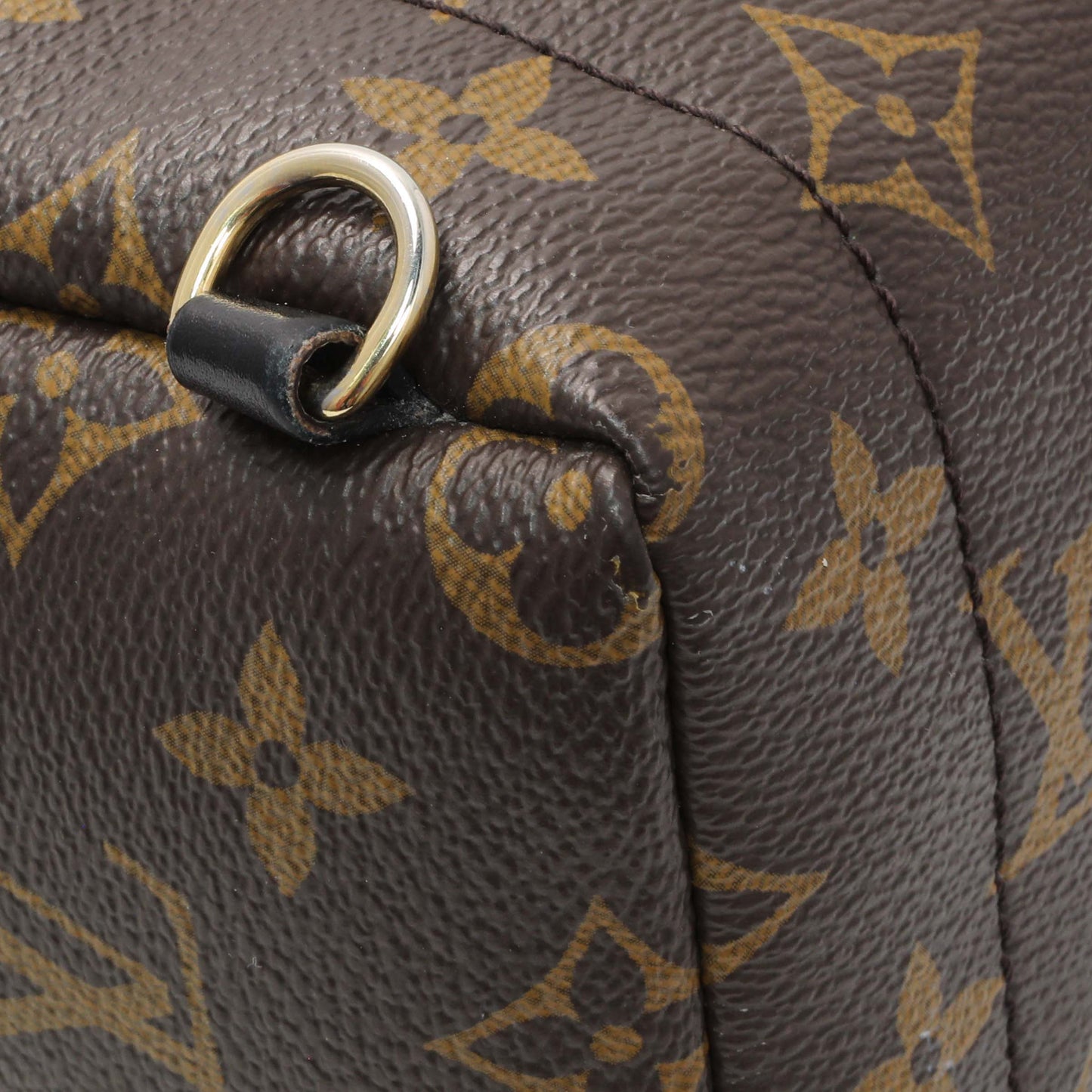 Exclusive Louis Vuitton Monogram Palm Springs Mini — Lifestyle View