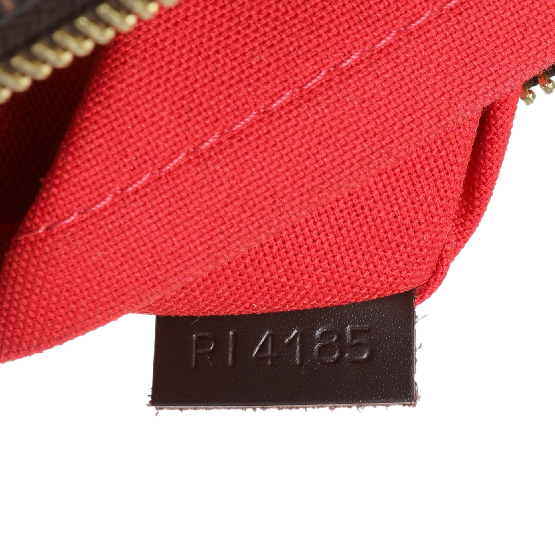 Exclusive Louis Vuitton Damier Ebene Siena MM — Lifestyle View