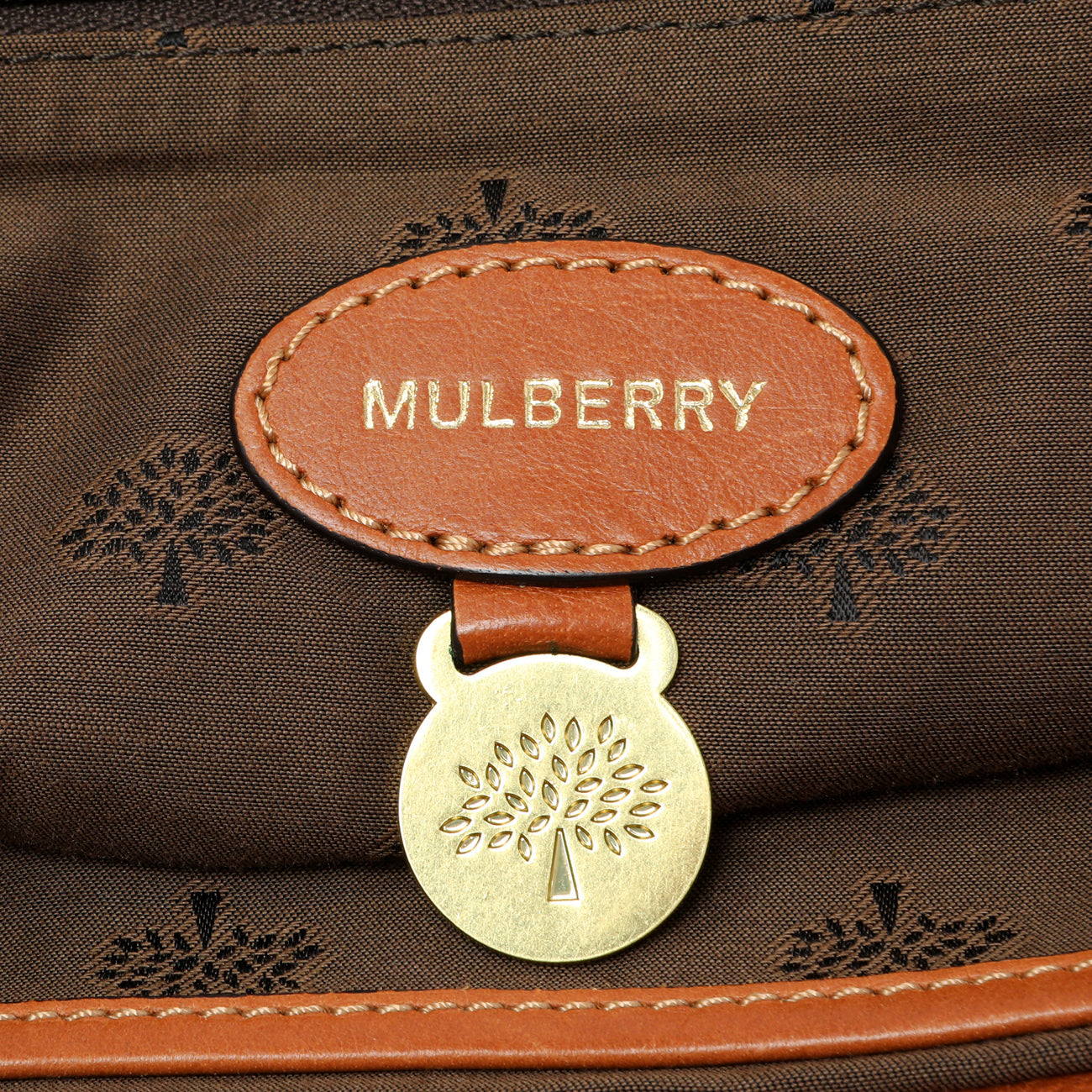 Exclusive Mulberry Oak Soft Buffalo Medium Alexa — Alternate View 9