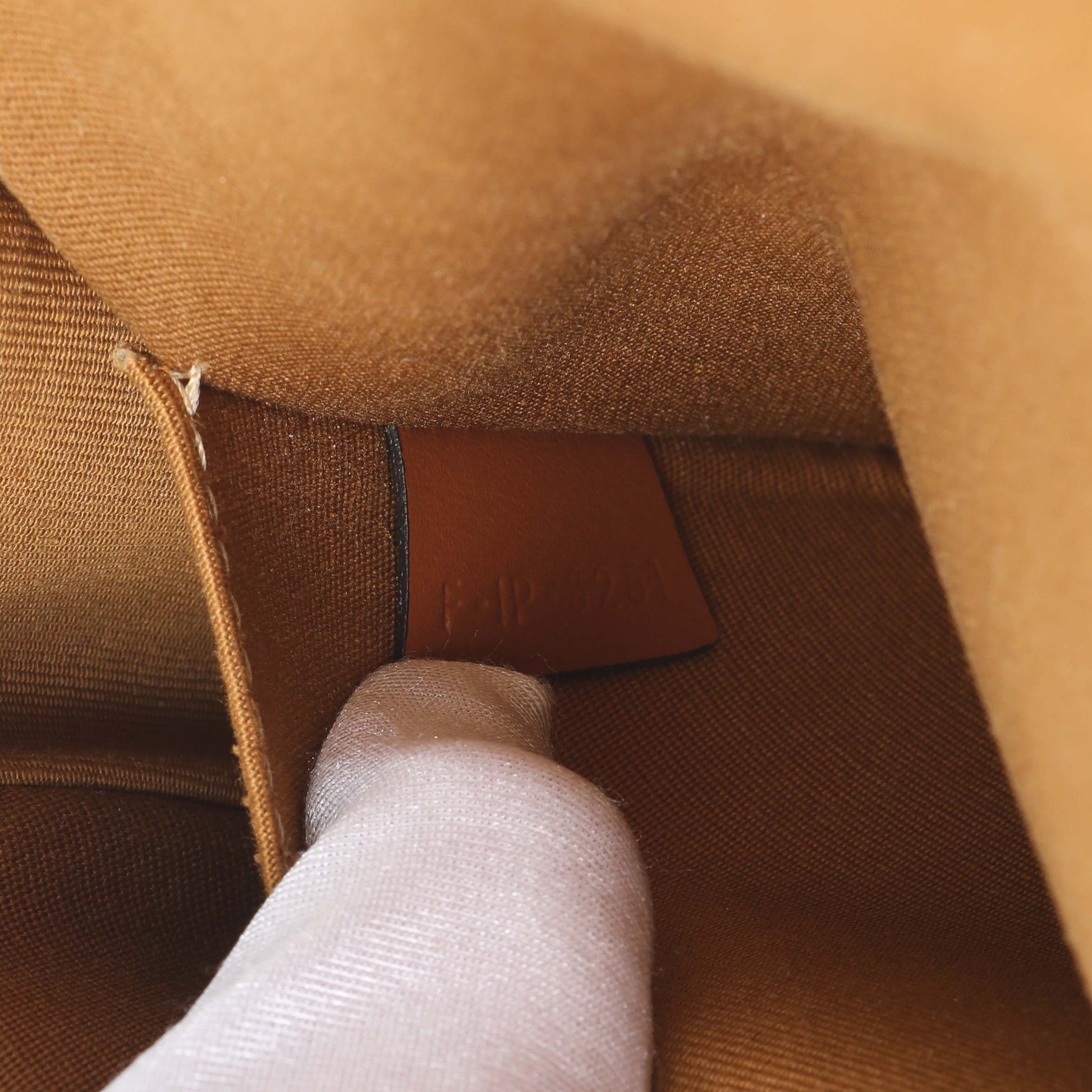 Exclusive Celine Tan Triomphe Canvas Medium Folco Bag — Lifestyle View