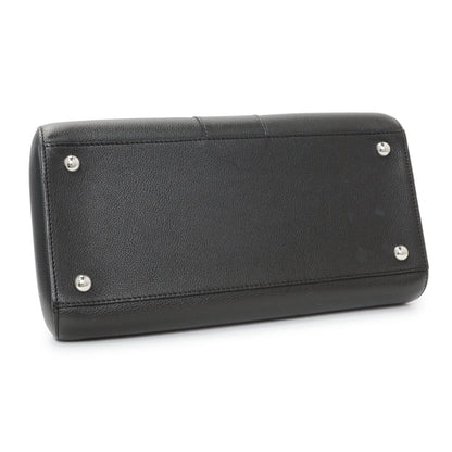 Exclusive Delvaux Black Grained Calfskin Brillant MM — Back View
