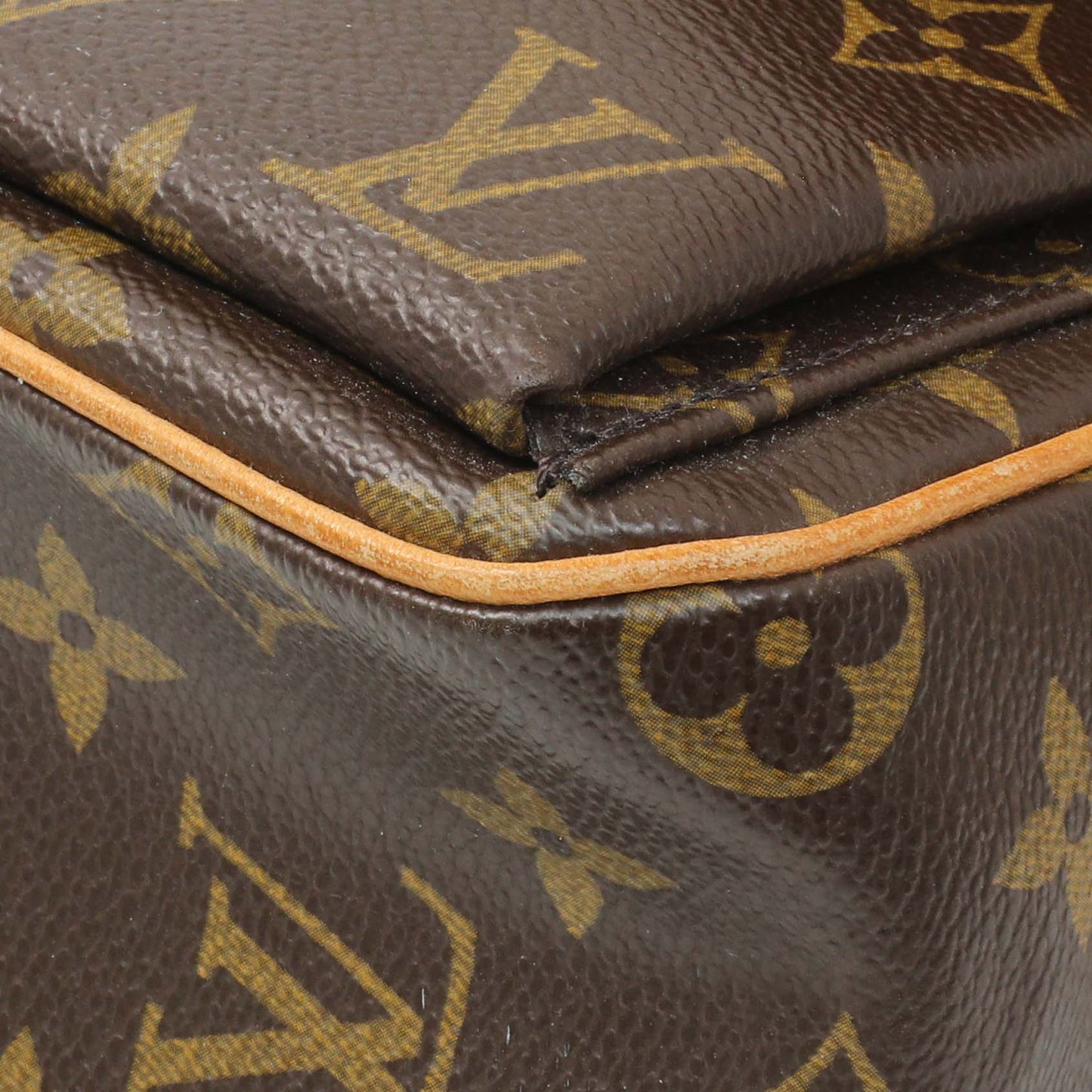 Exclusive Louis Vuitton Monogram Viva Cite MM — Detail View