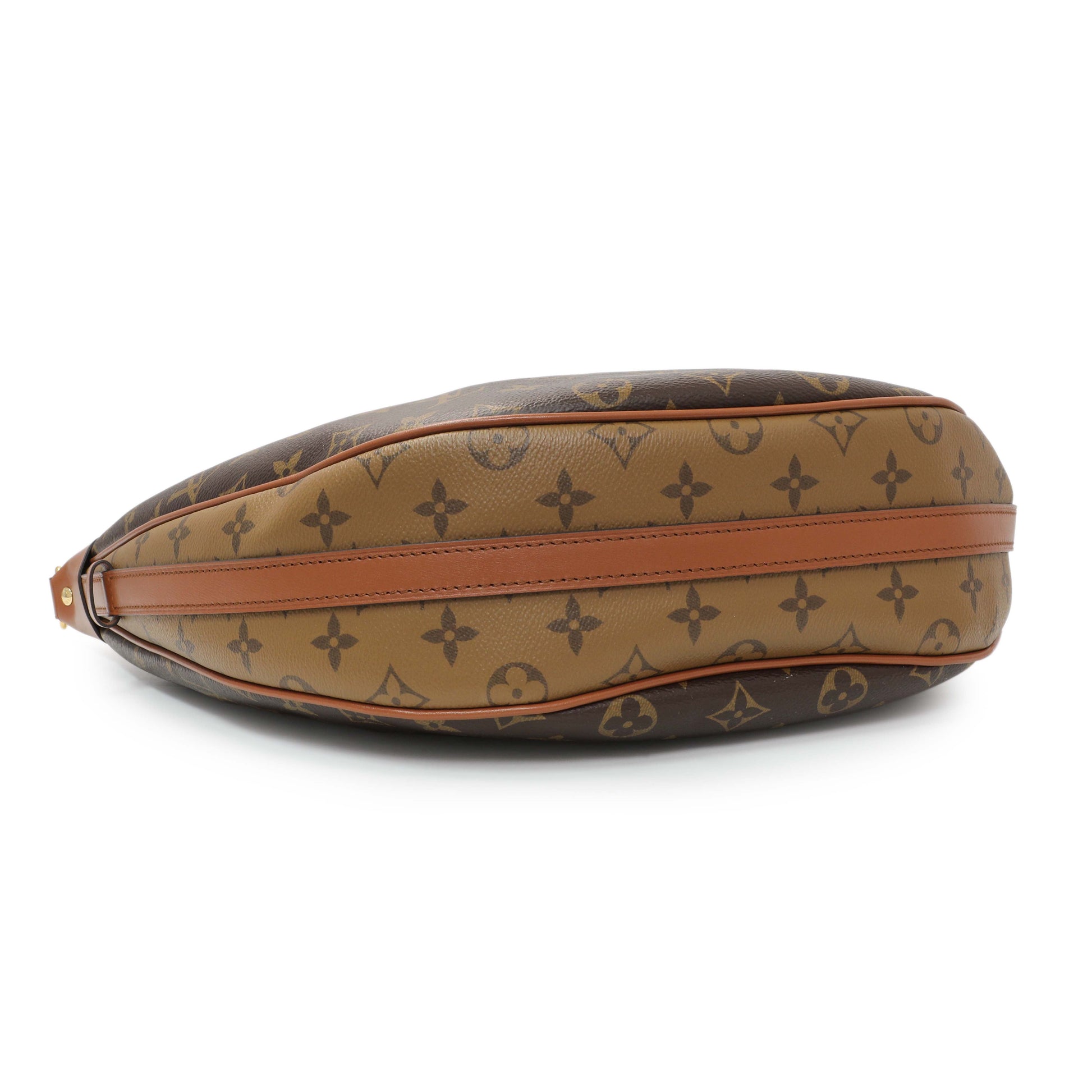 Exclusive Louis Vuitton Reverse Monogram Loop Hobo — Back View