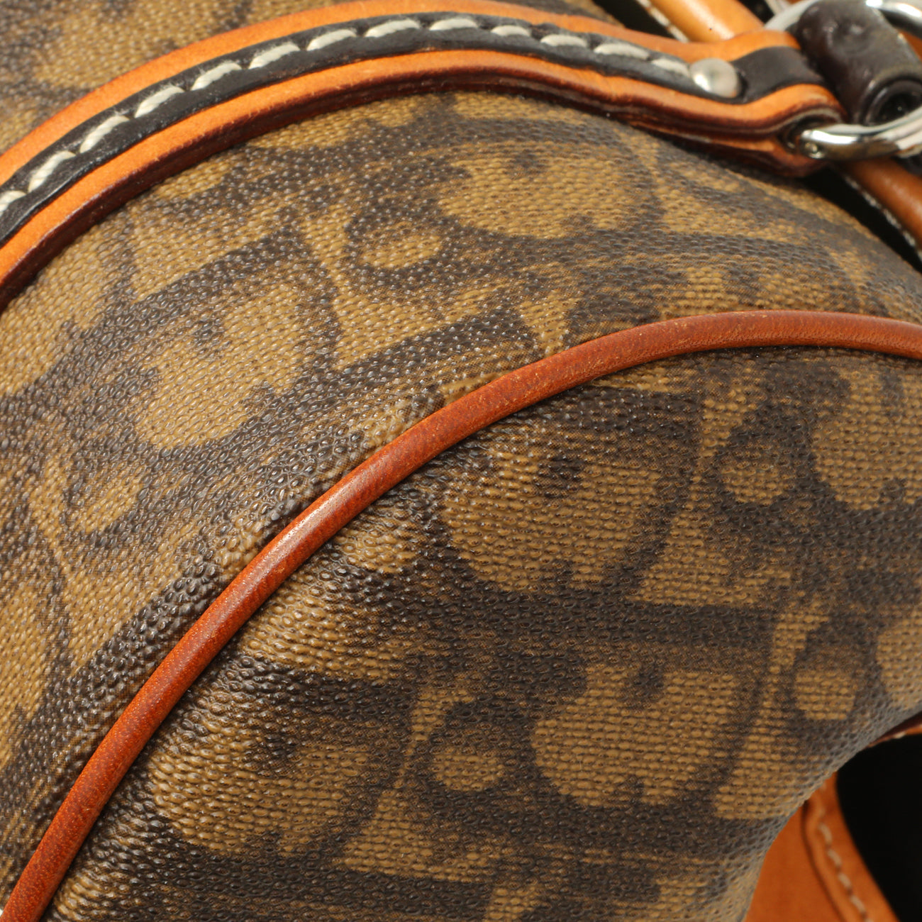 Exclusive Christian Dior Monogram Romantique Trotter Flap — Detail View