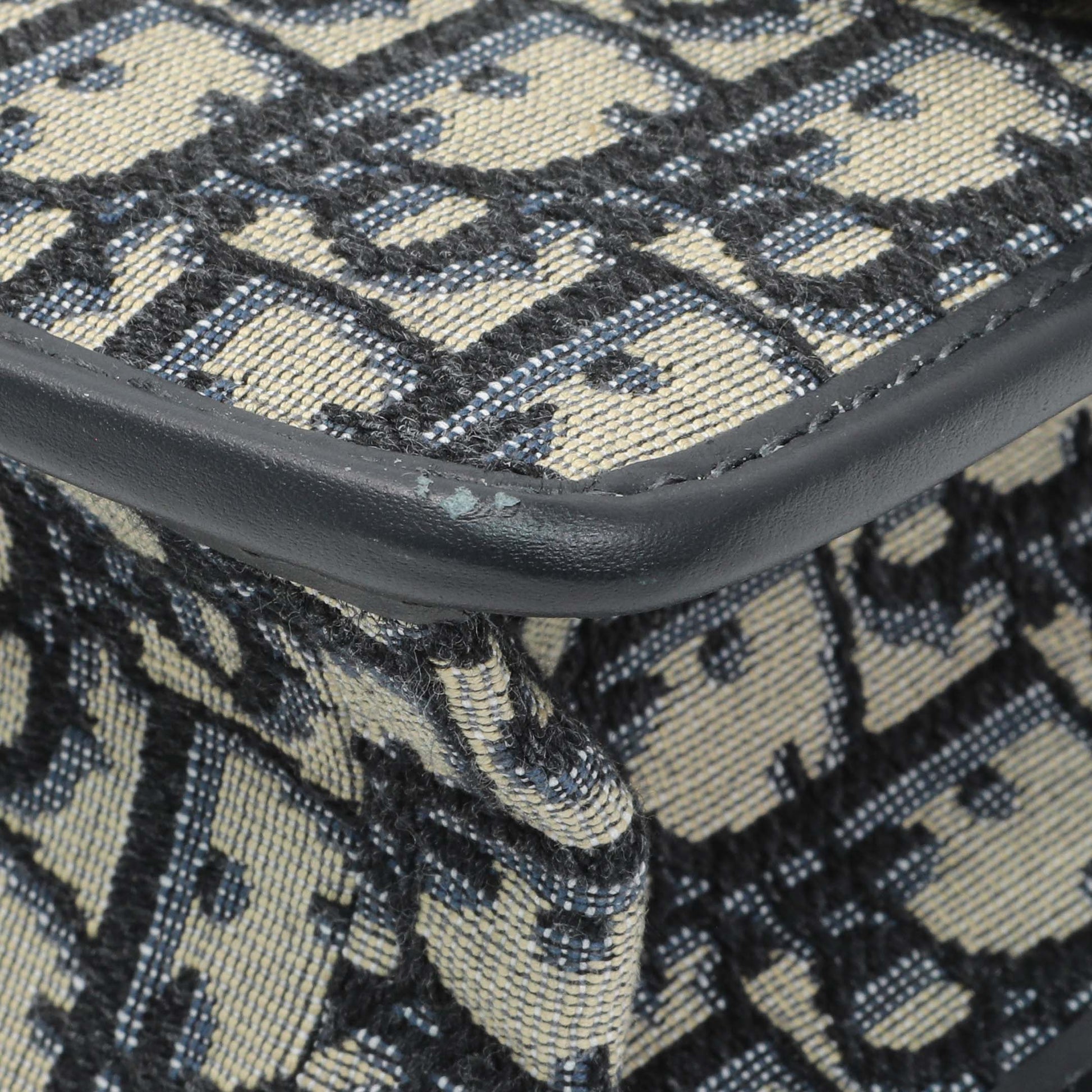 Exclusive Christian Dior Oblique 30 Montaigne Flap Bag — Lifestyle View
