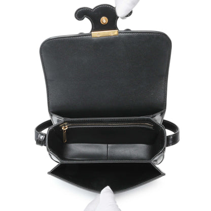 Exclusive Celine Shiny Calfskin Teen Triomphe Bag — Top View