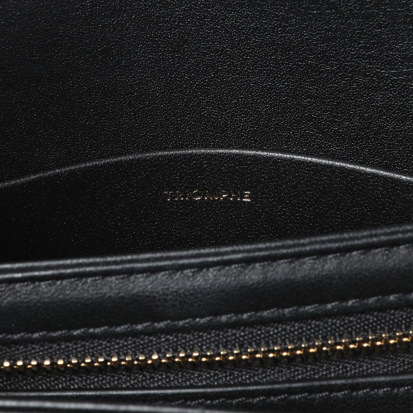 Exclusive Celine Shiny Calfskin Teen Triomphe Bag — Lifestyle View